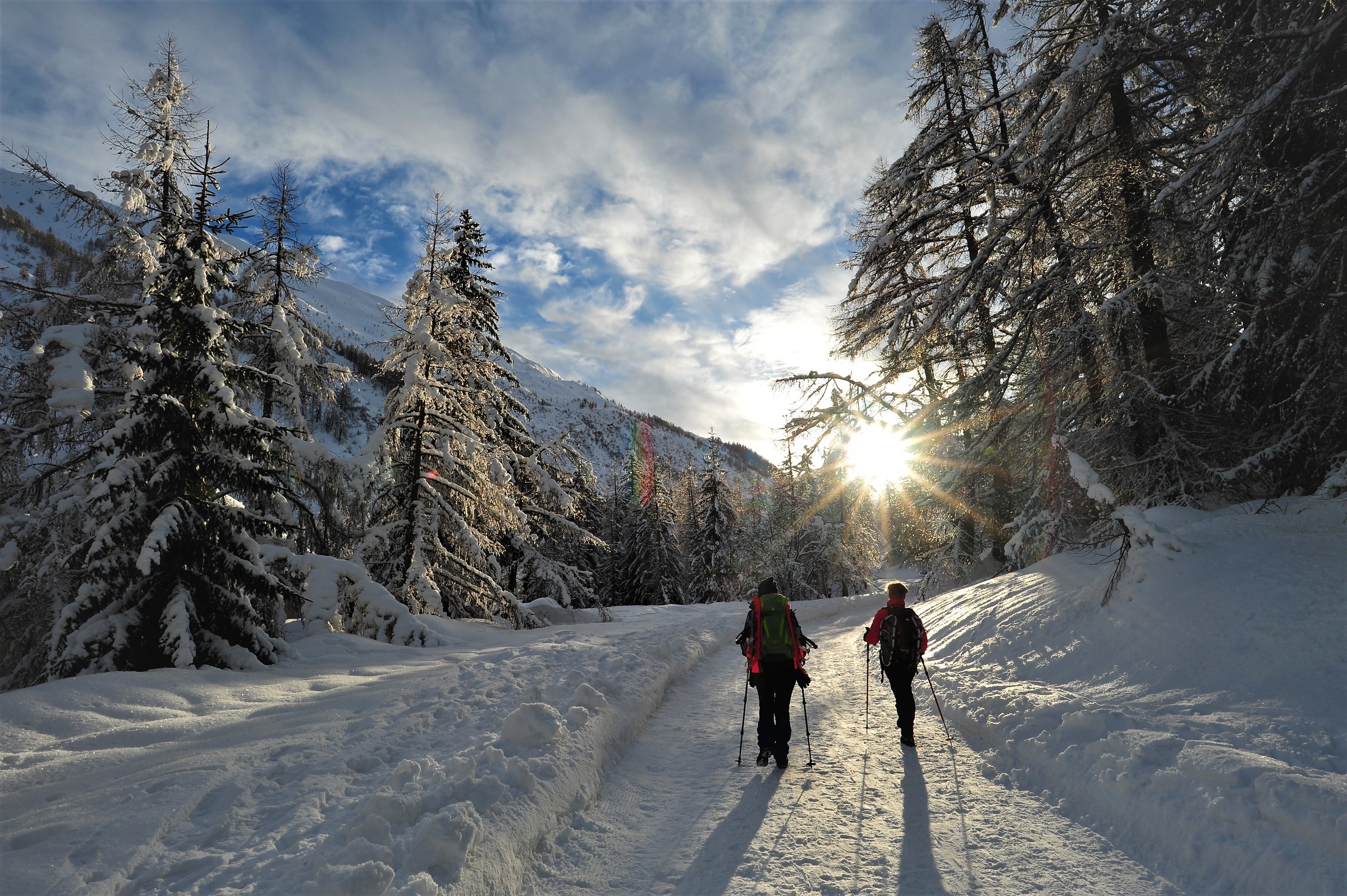 a passeggio nel bosco incantato...