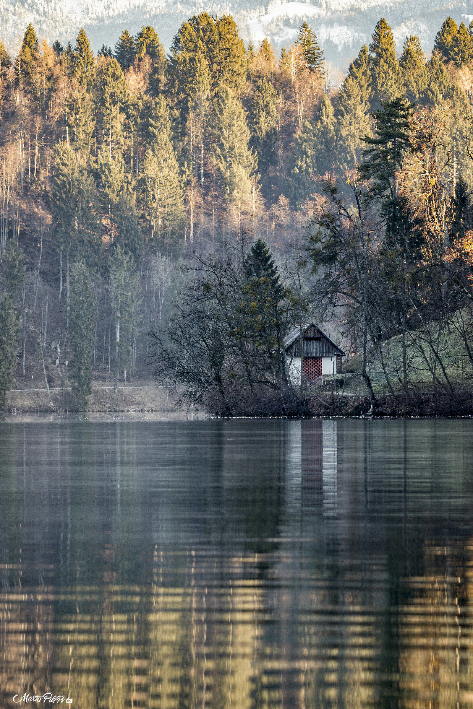 The lake house