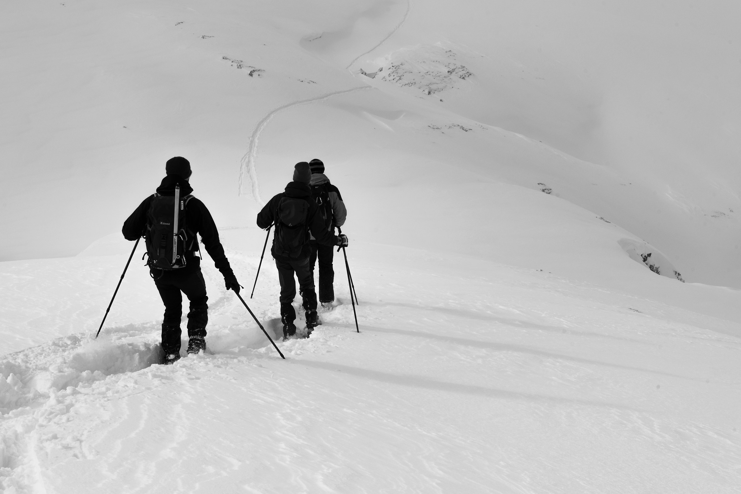 Pale San Martino plateau