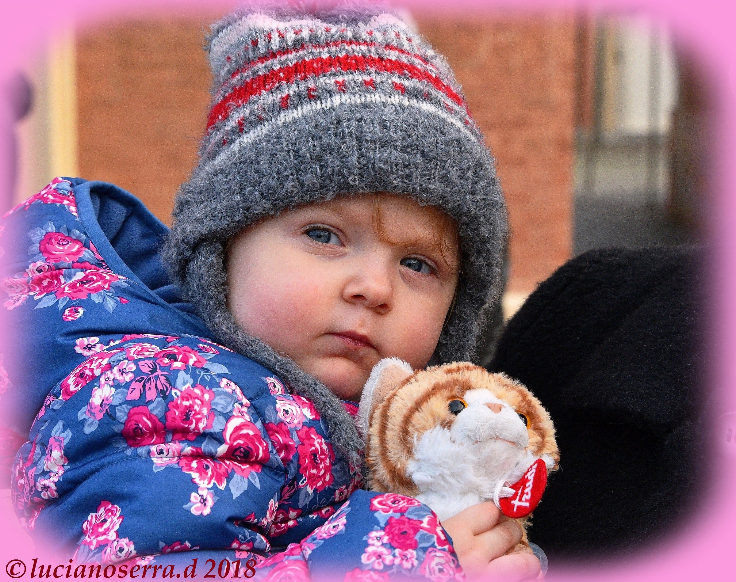 Un gattino vero non ce l'ho così ho portato quest...