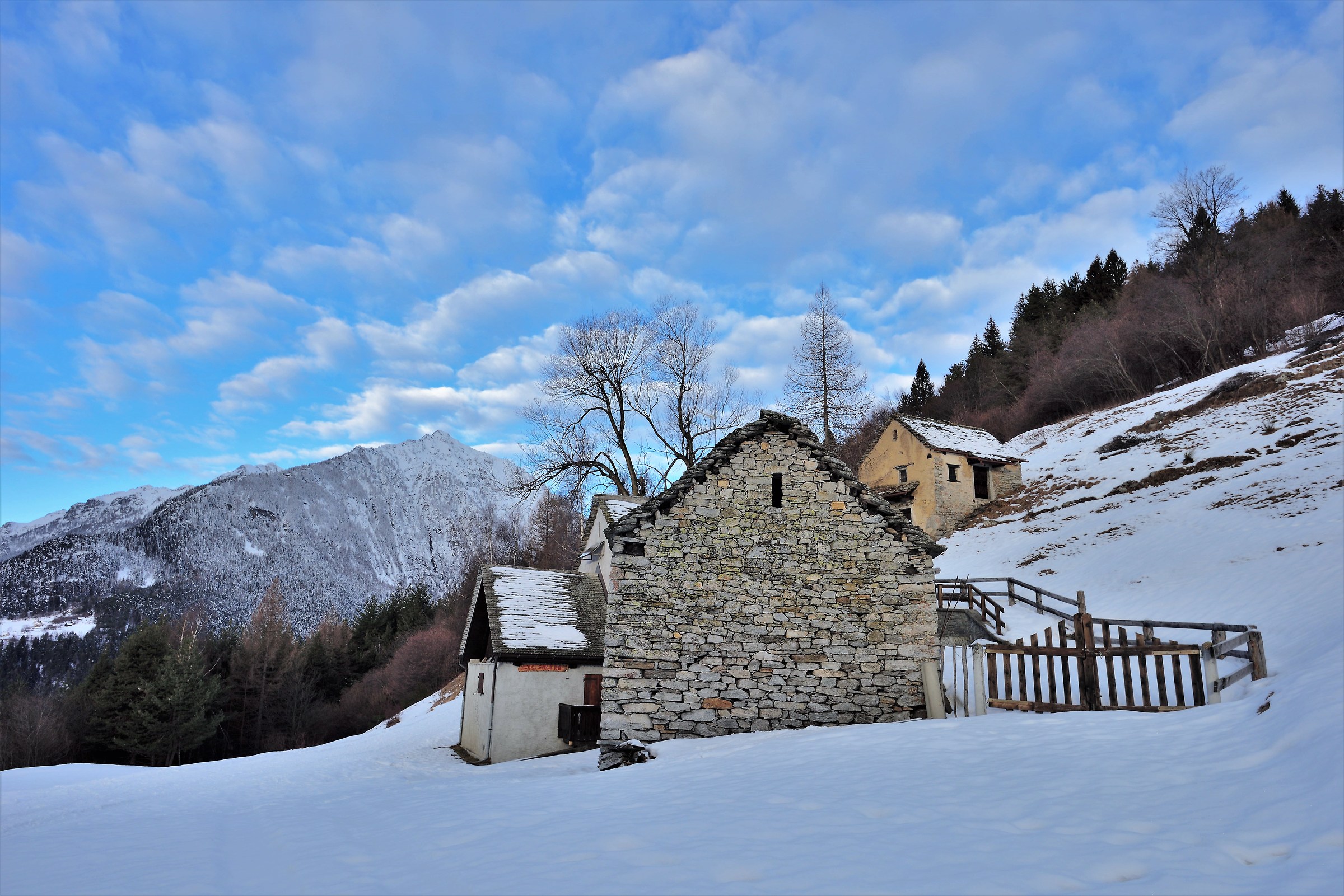 the first pasture at about 1200m