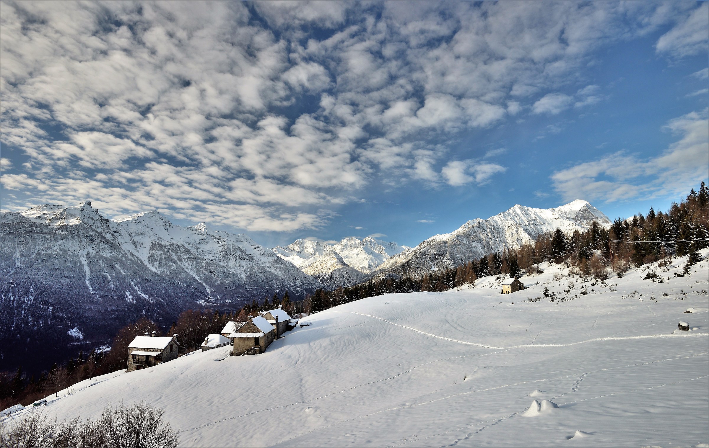 the second pasture at about 1500m