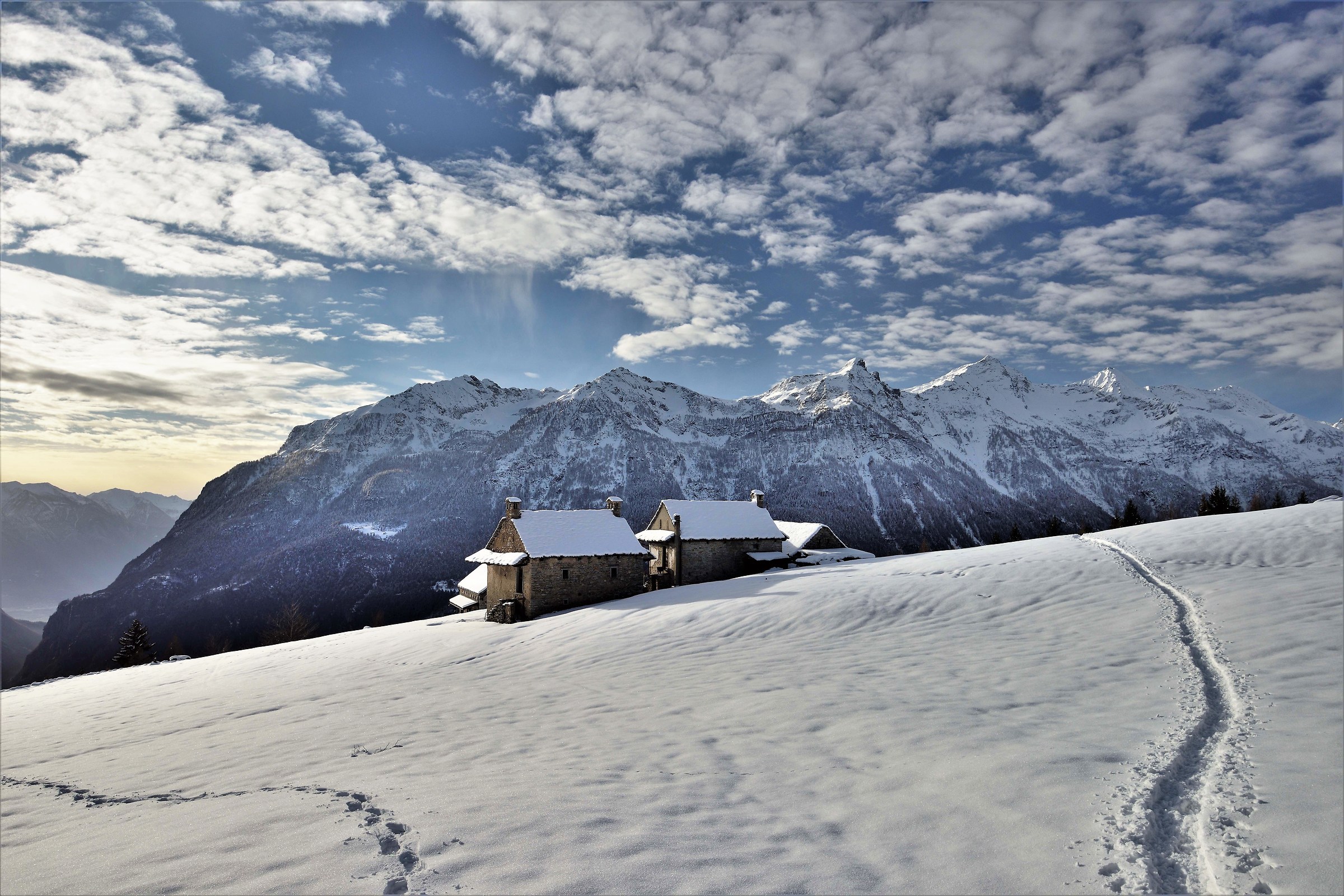 the second pasture at about 1500m