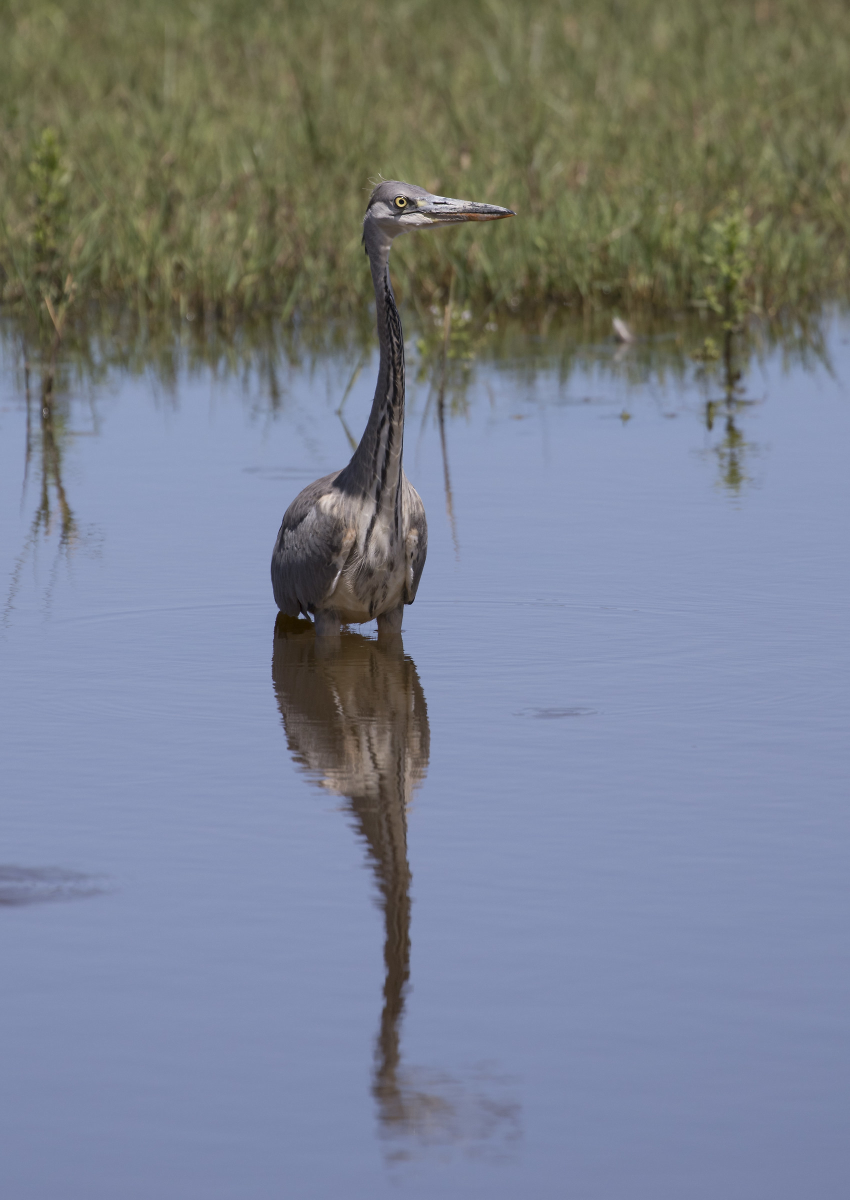 light and reflection