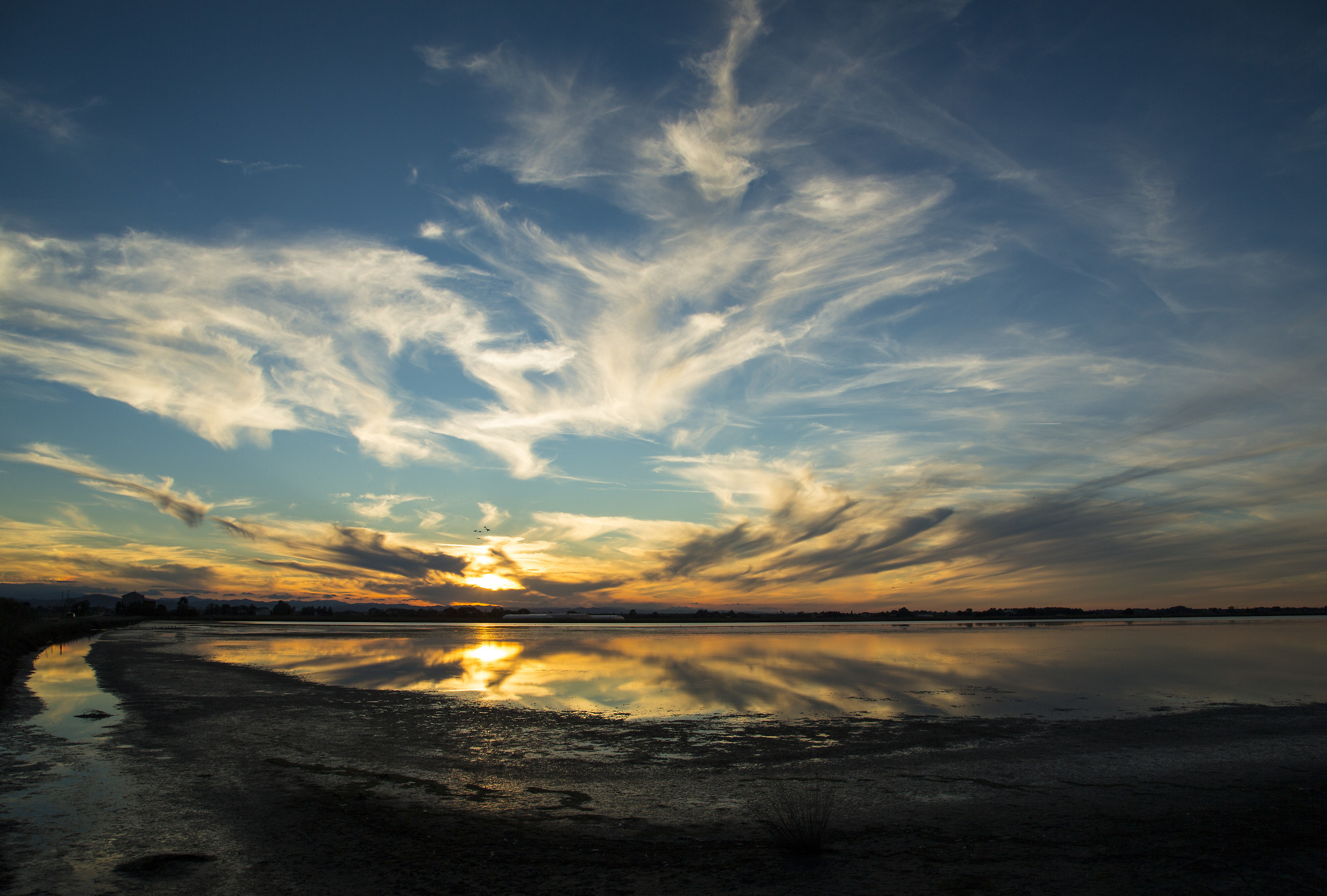 Saltworks of Cervia 2
