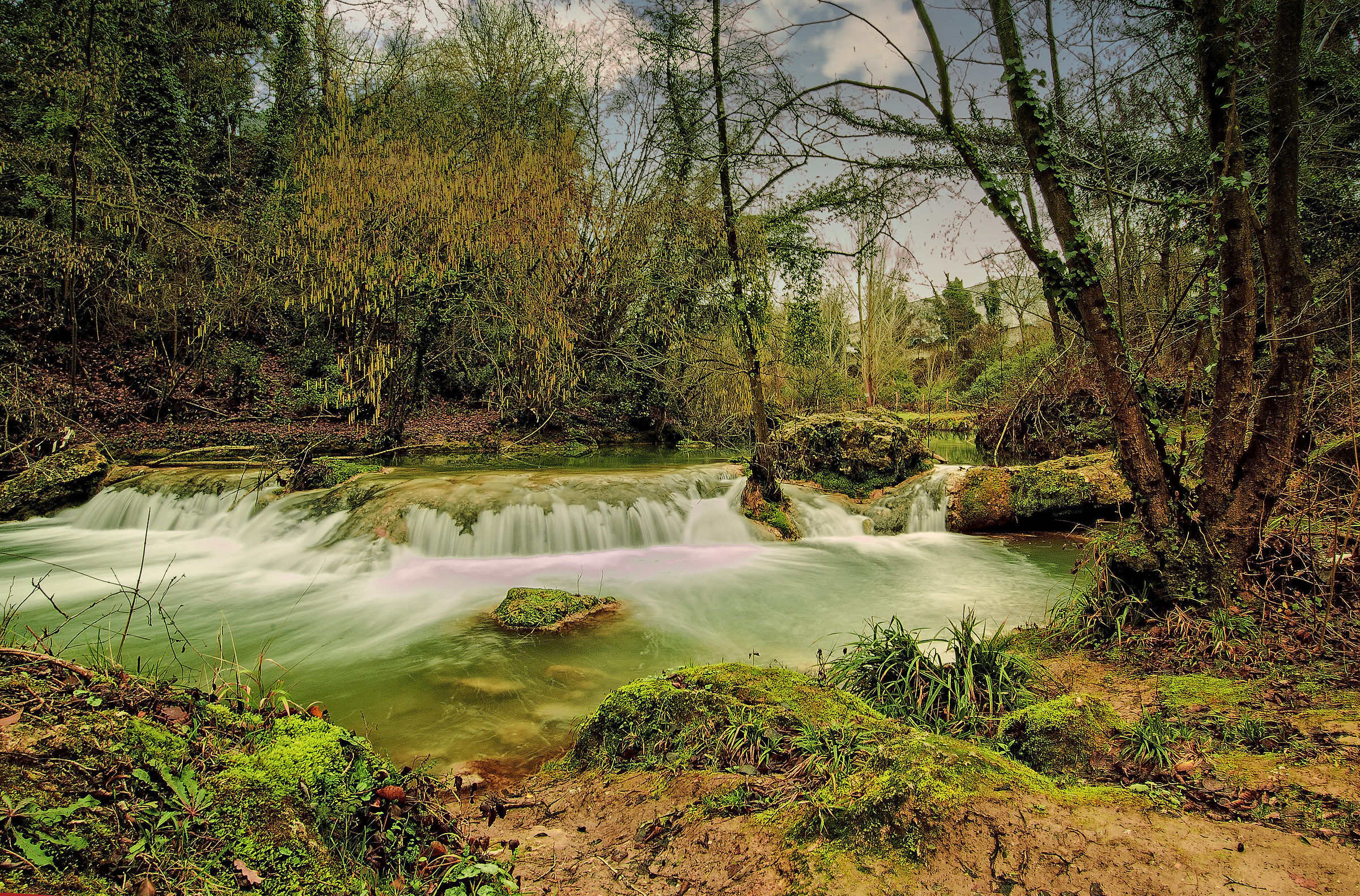 The River of Moss and Lichens