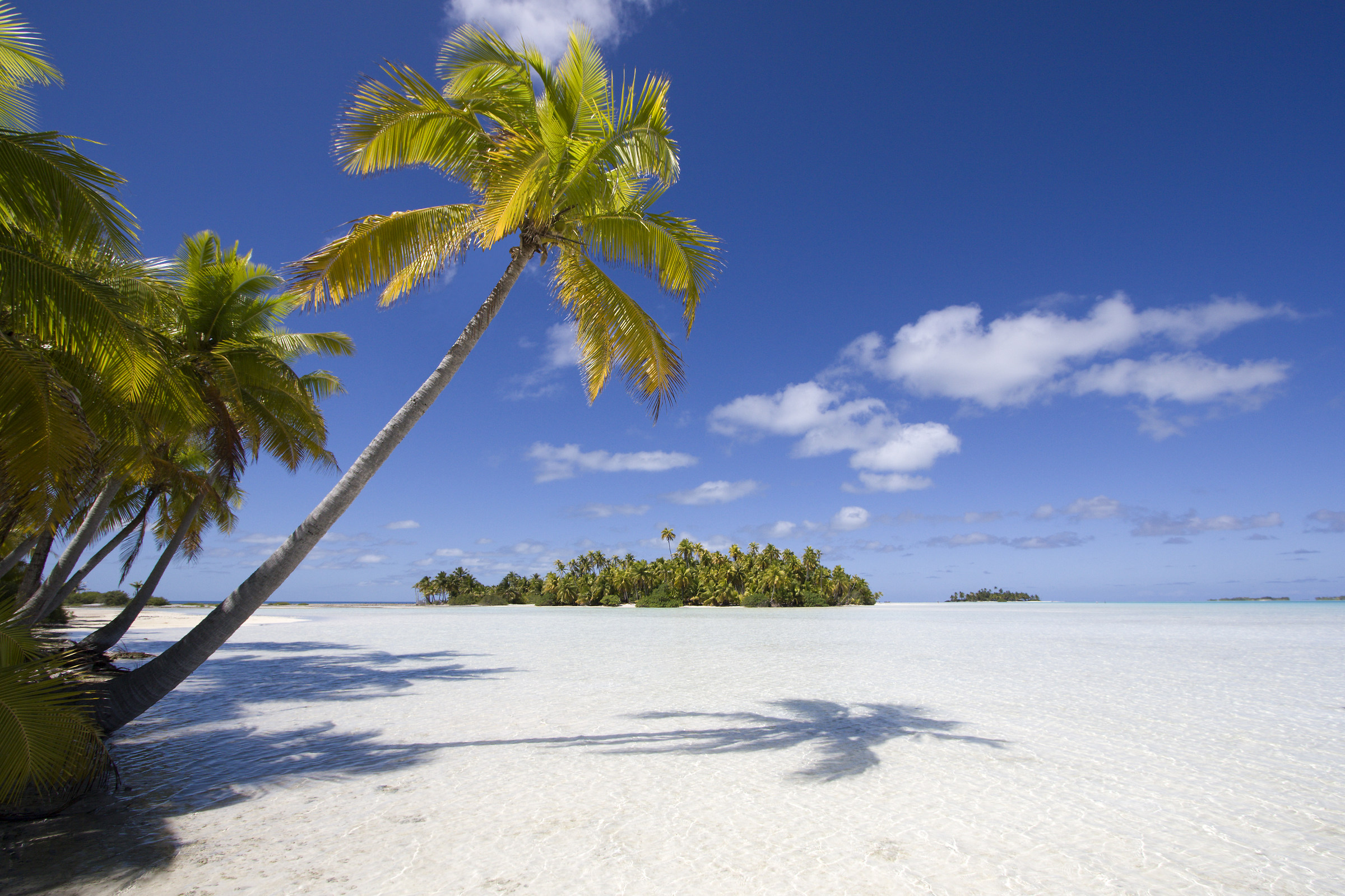 Super Tropical Beach