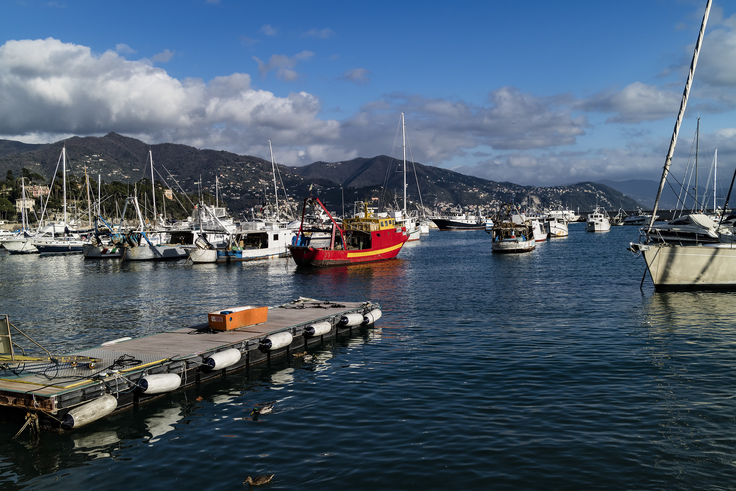 Does not the red frighten the fish?