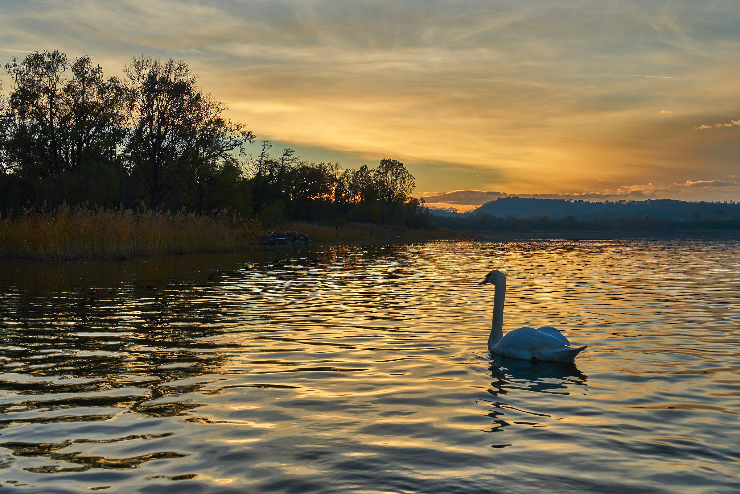 Lago di Varese