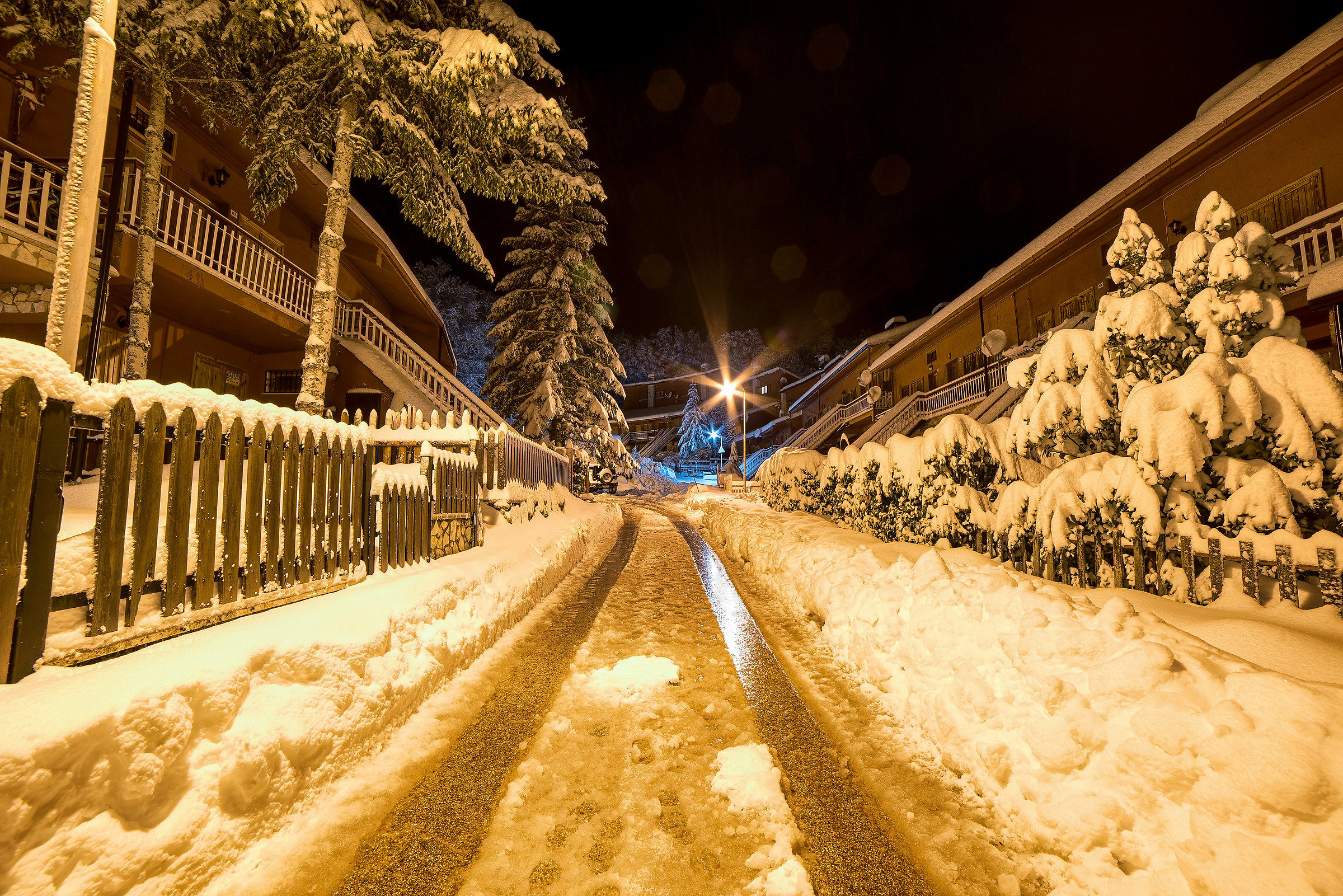 Golden Snow Camporotondo