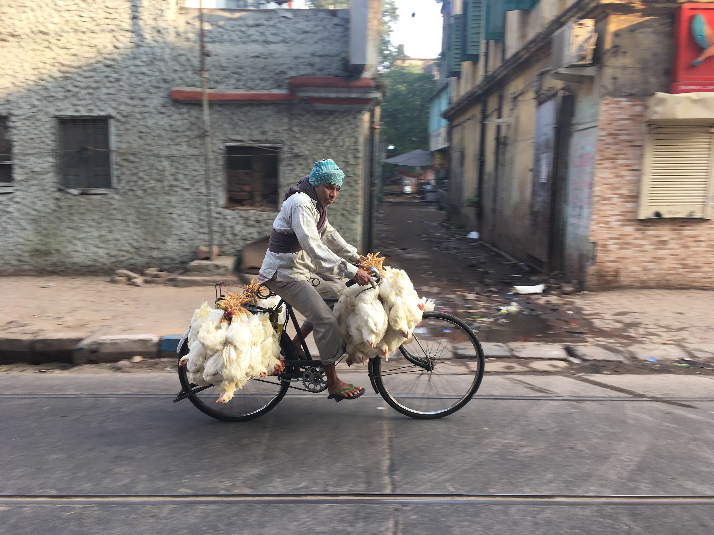 al mercato dei polli- Calcutta