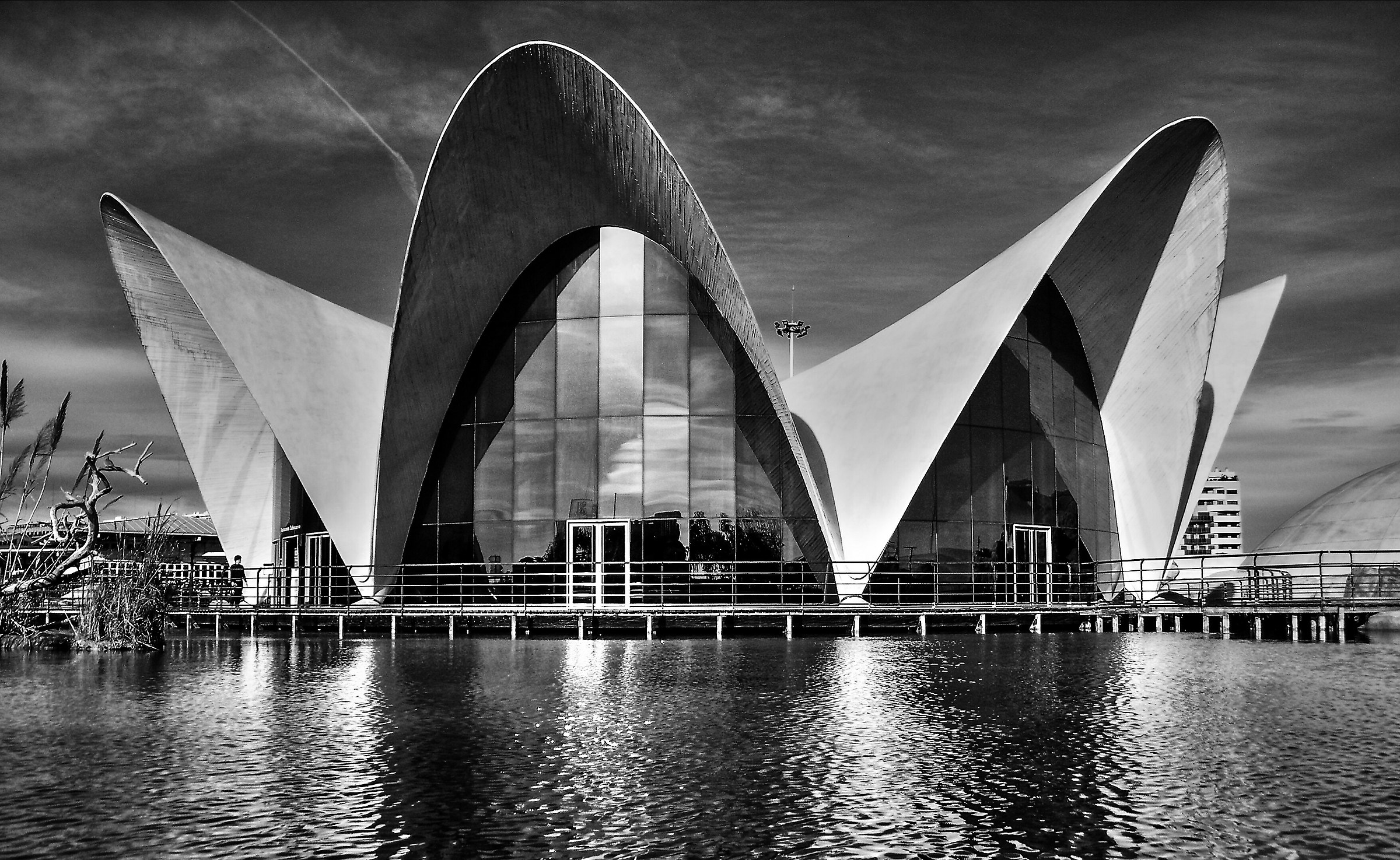 the oceanographic of Valencia