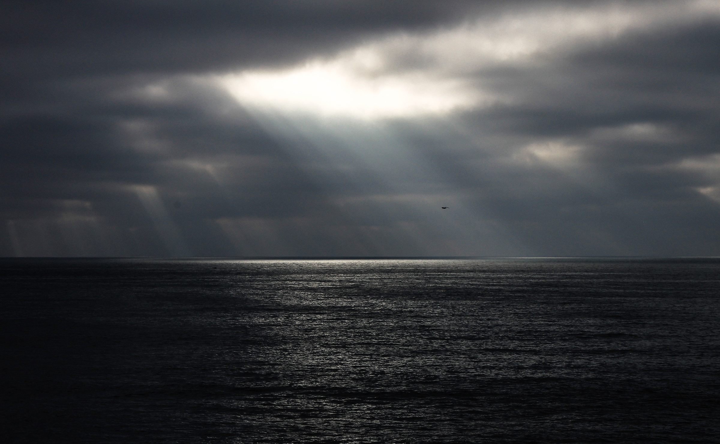 The sea of San Diego