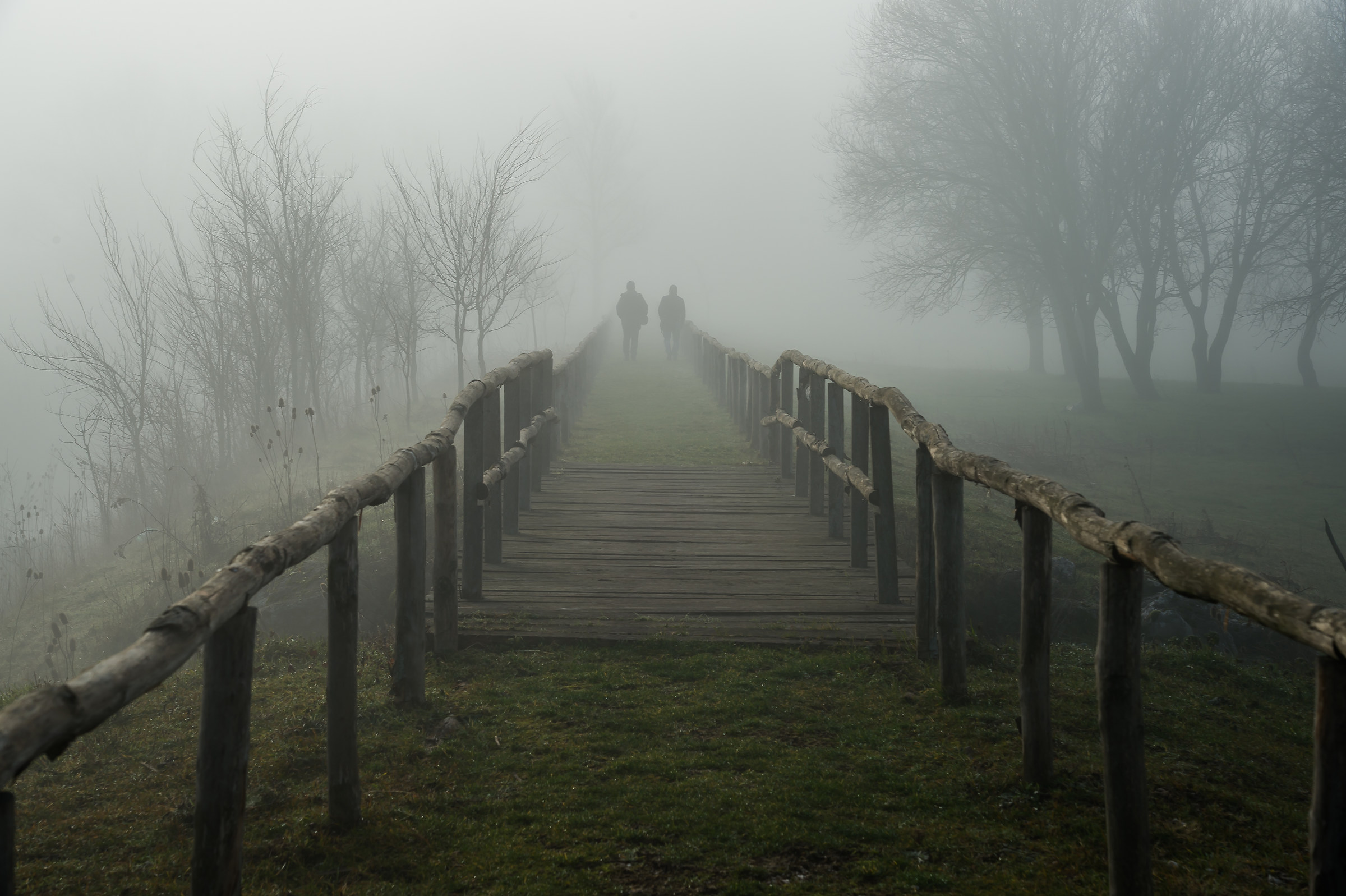 ..camminando nella nebbia