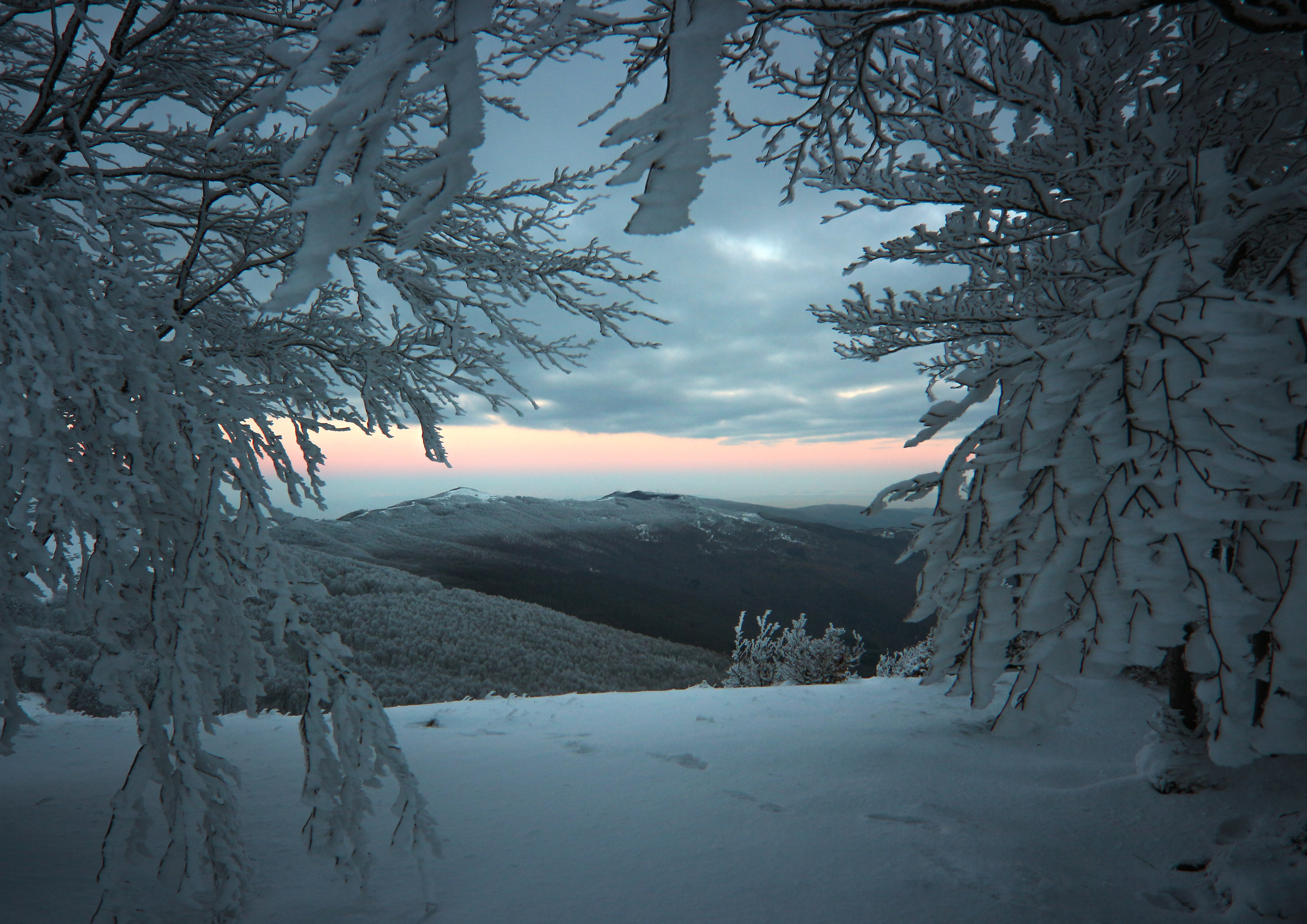 Una finestra sul bianco
