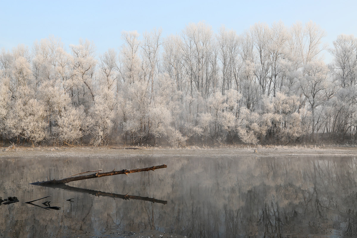 morning with galaverna
