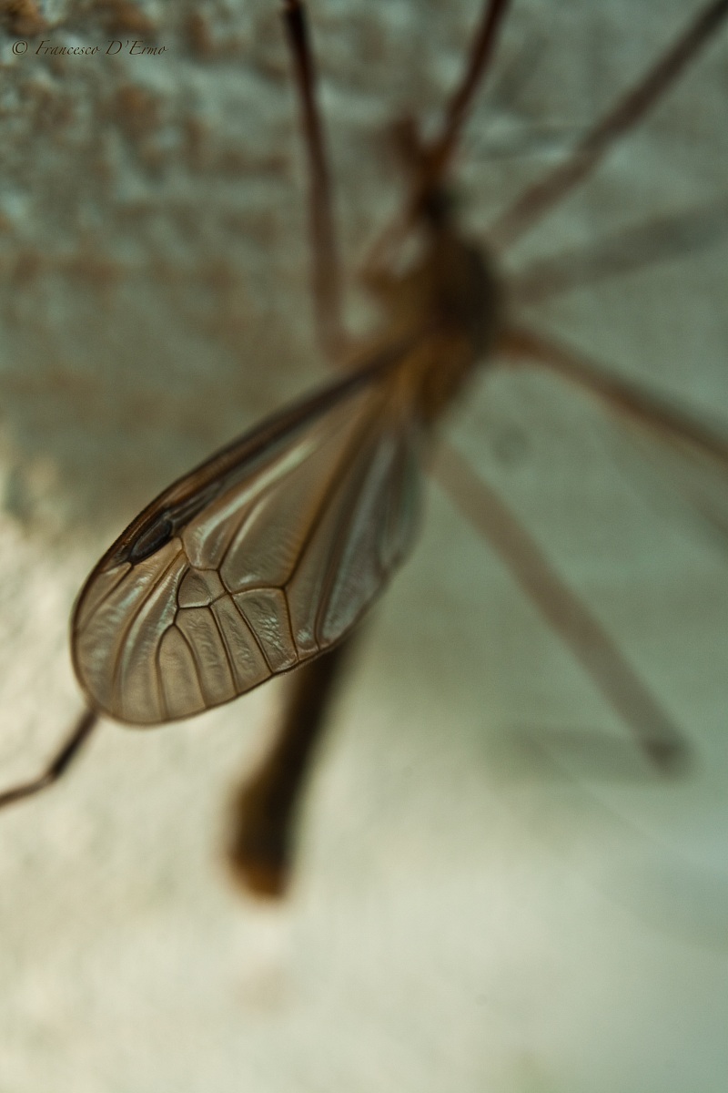 zzzzzzz zzzzzzz .........