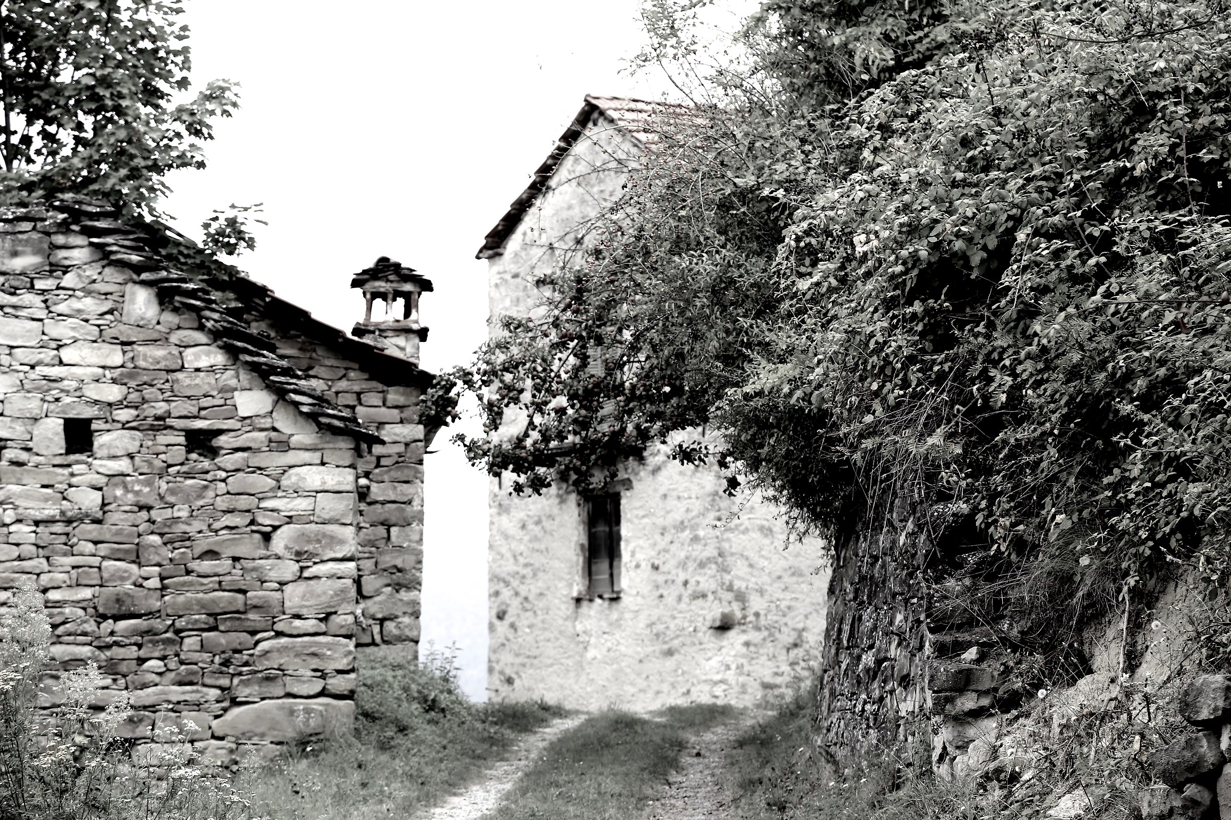 Case Vecchie (Cortemilia)