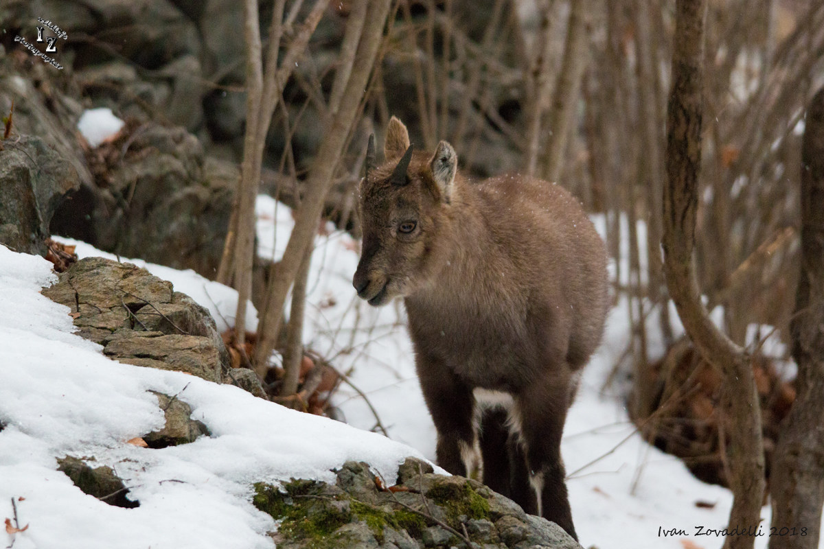 I'm small but I'll grow up