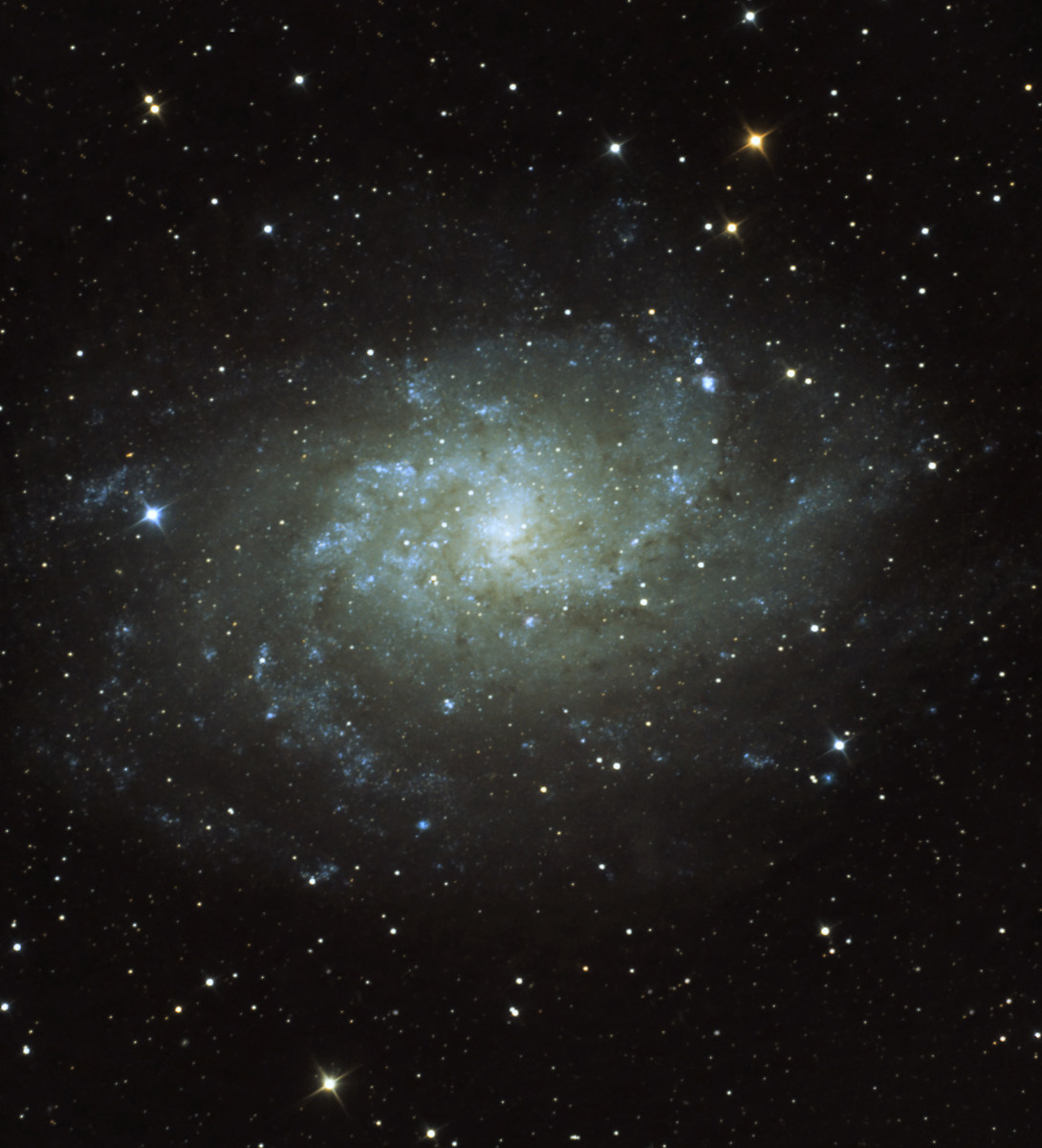 M33 - Galassia del Triangolo