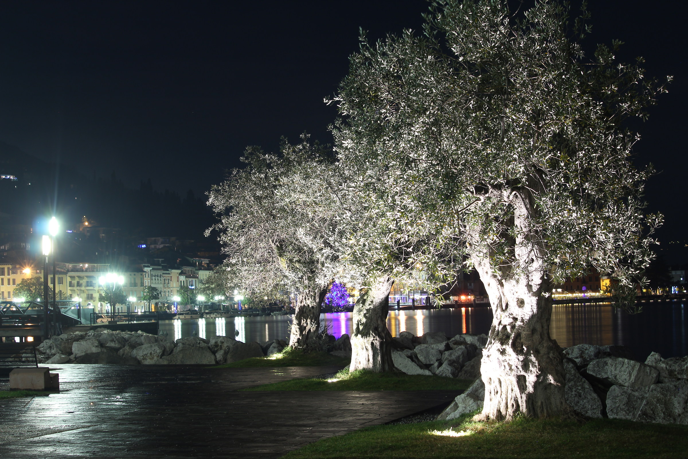 Salò by Night