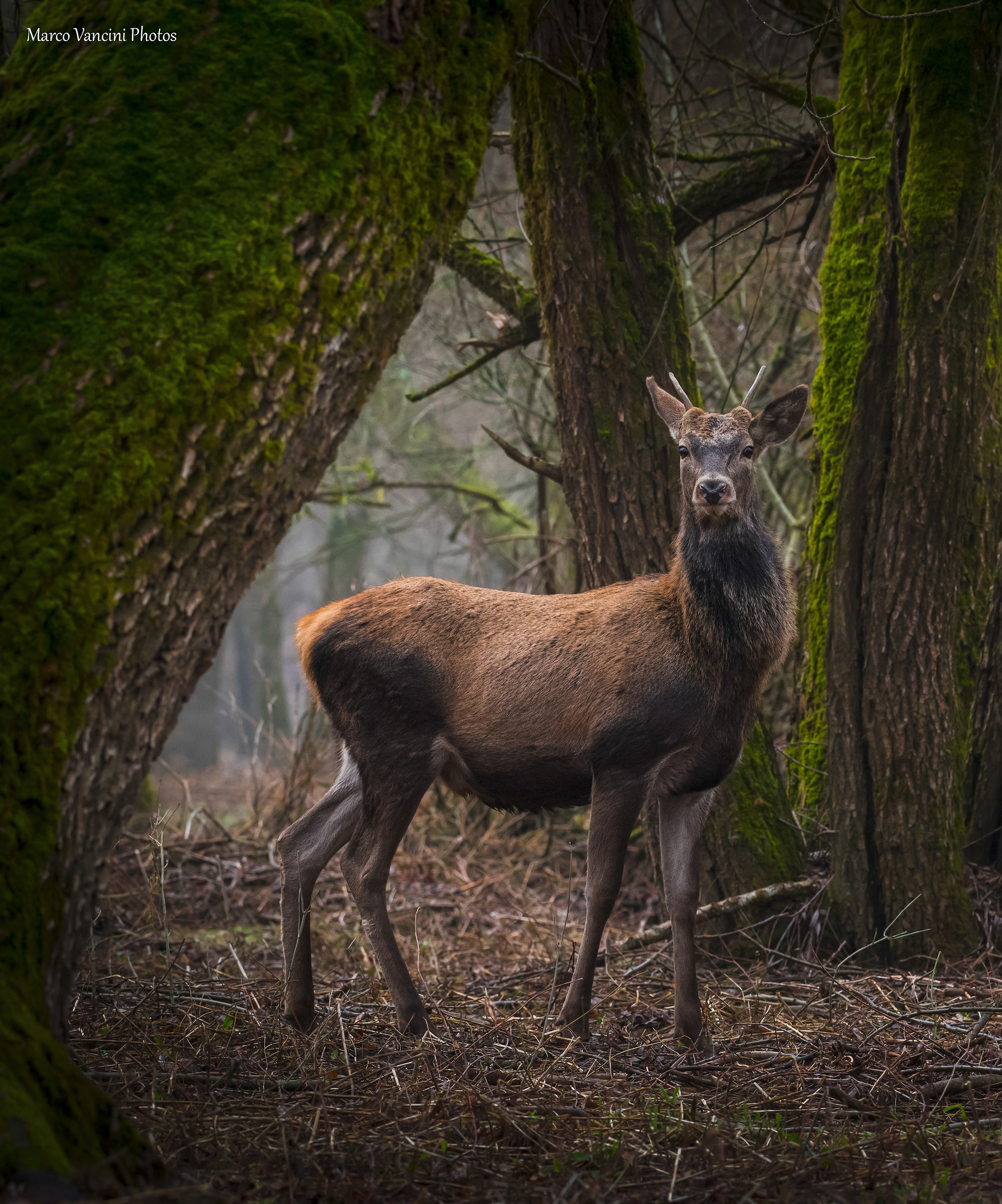 all of a sudden he ...