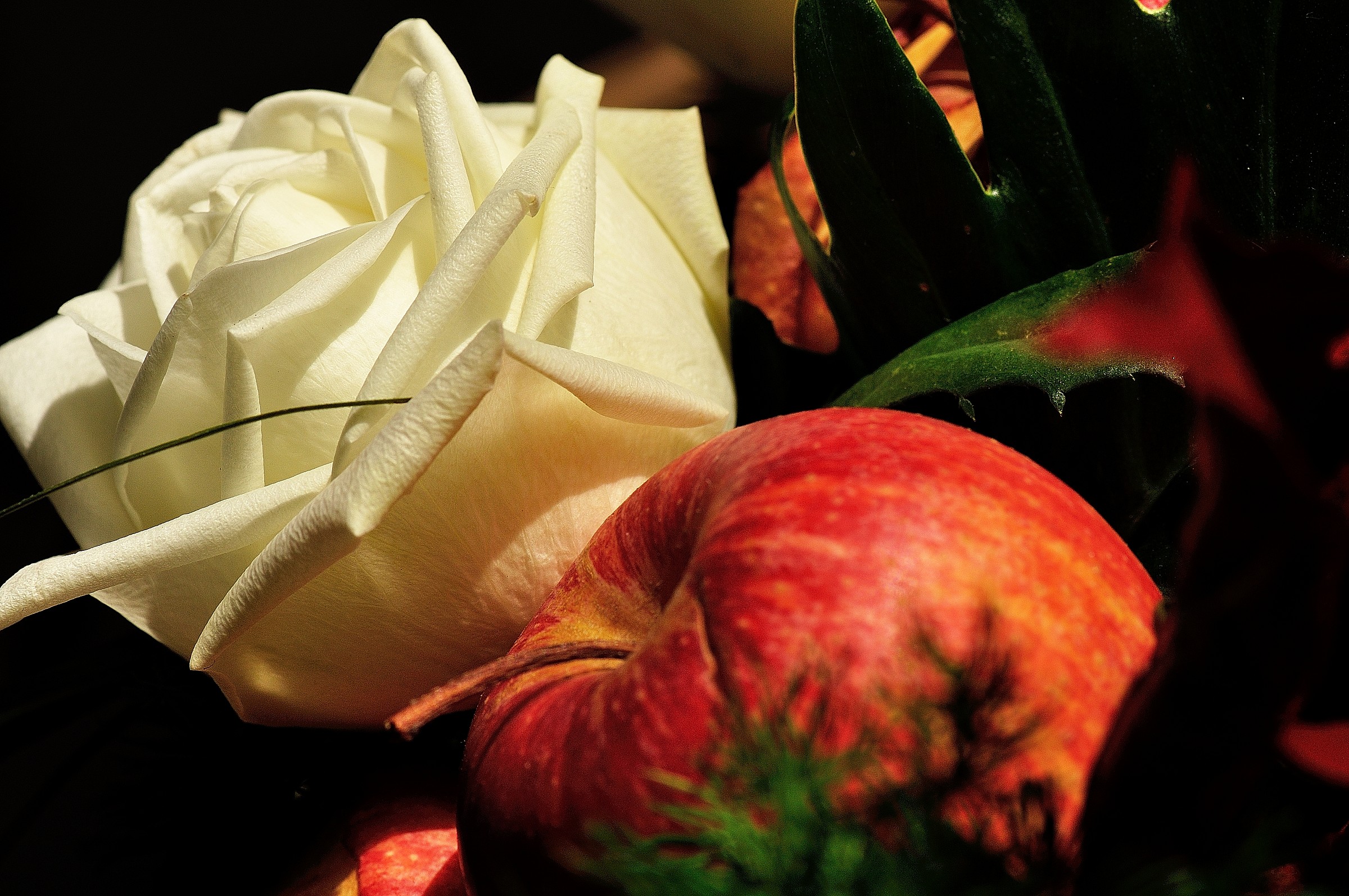 Insondabile bellezza della Natura!