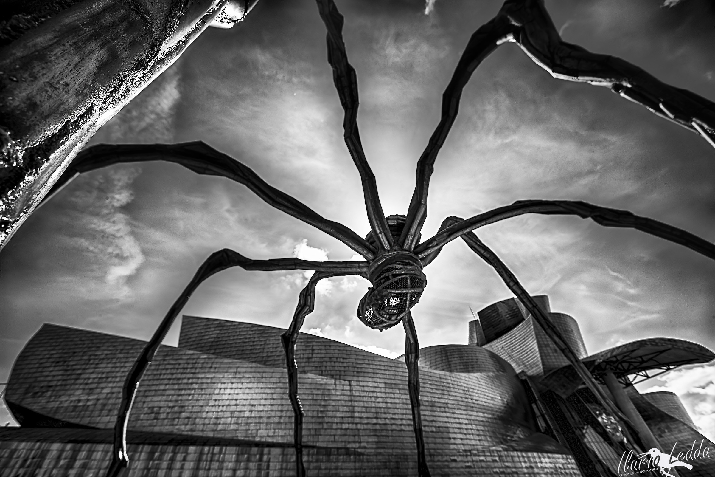il ragno di bilbao