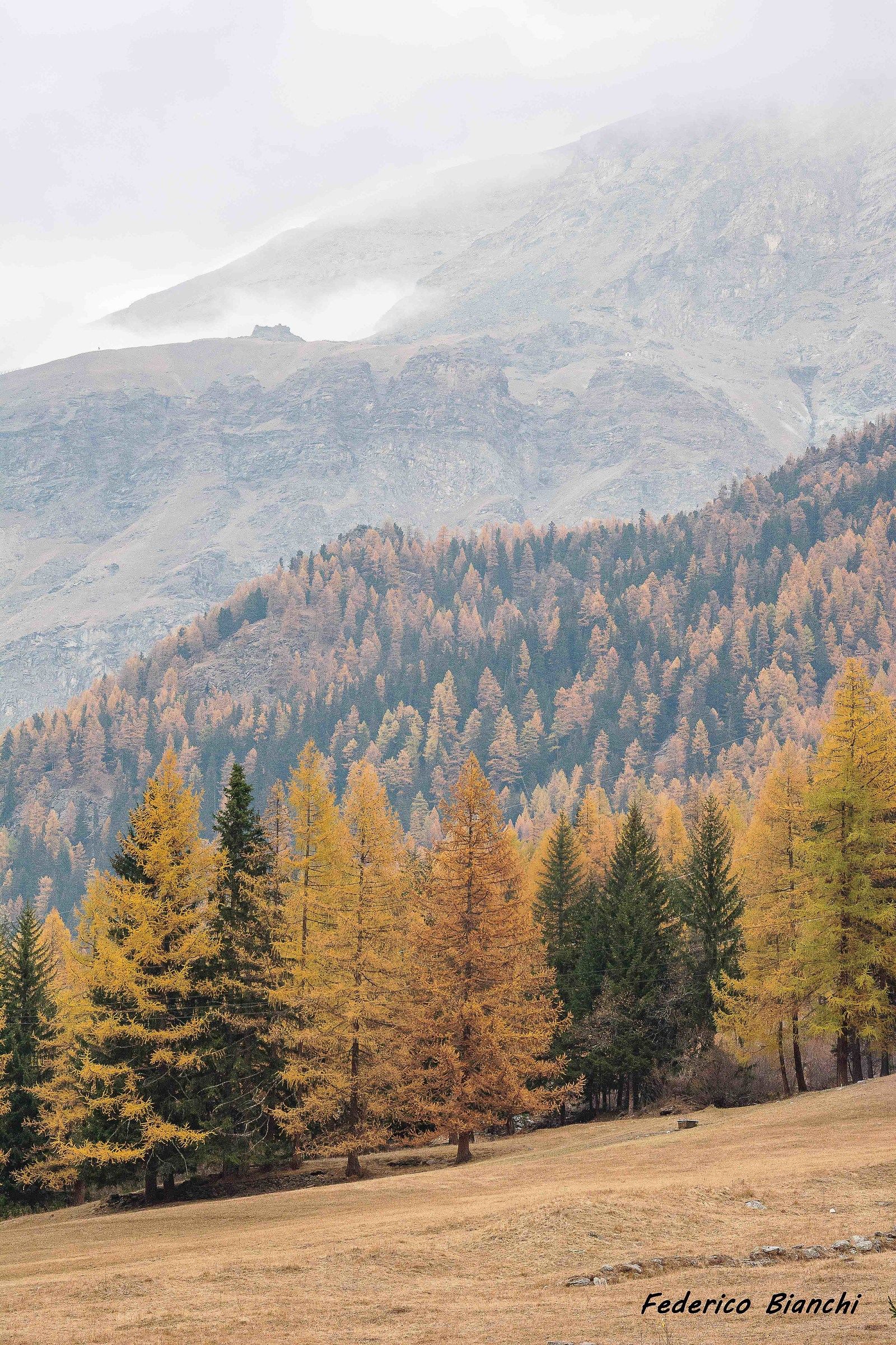 autunno