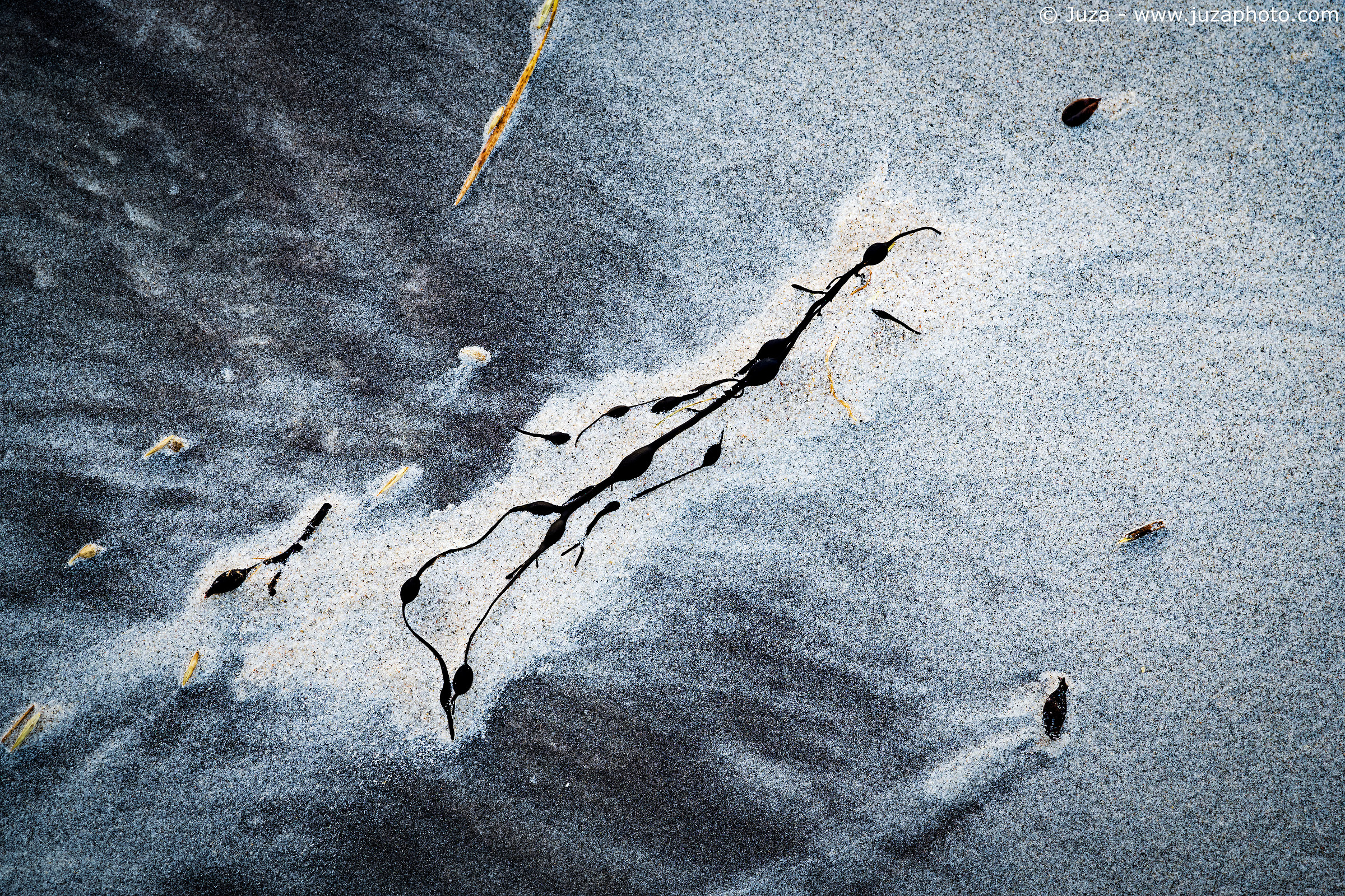 Abstract in the sand, Engeloya