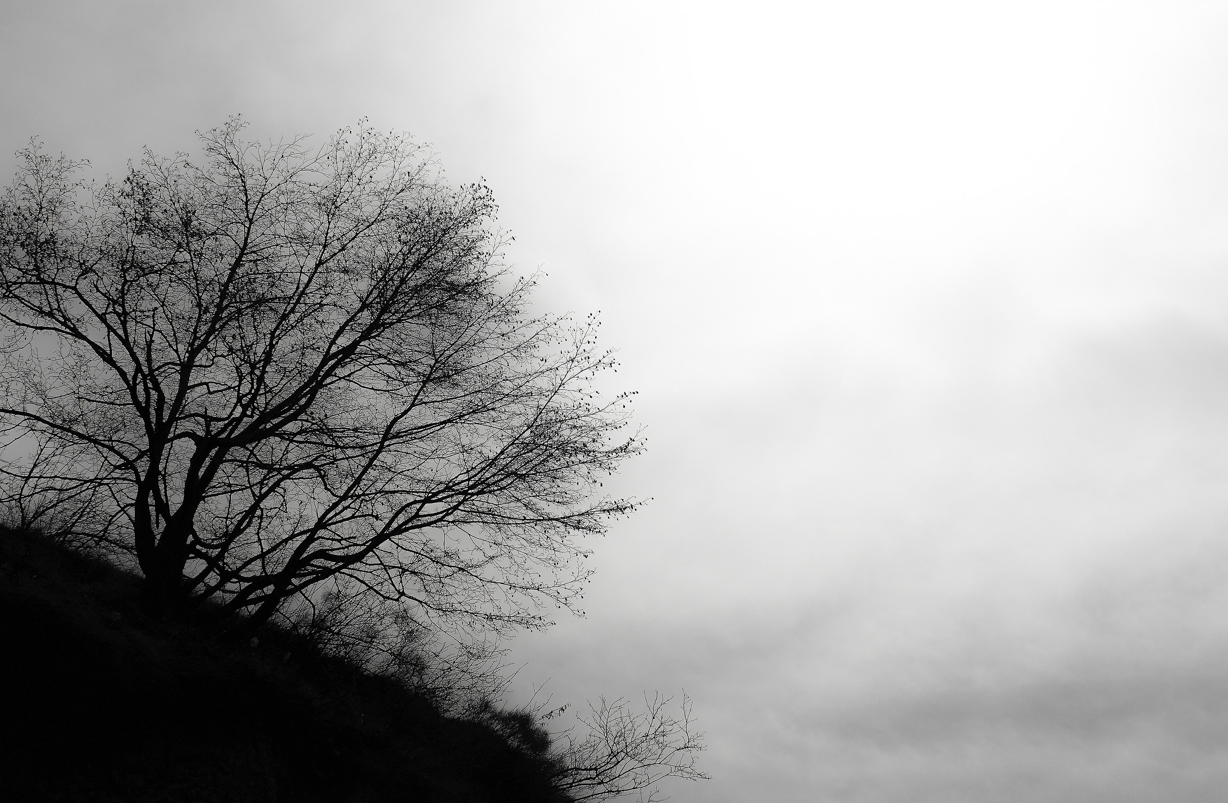 Looking for the light