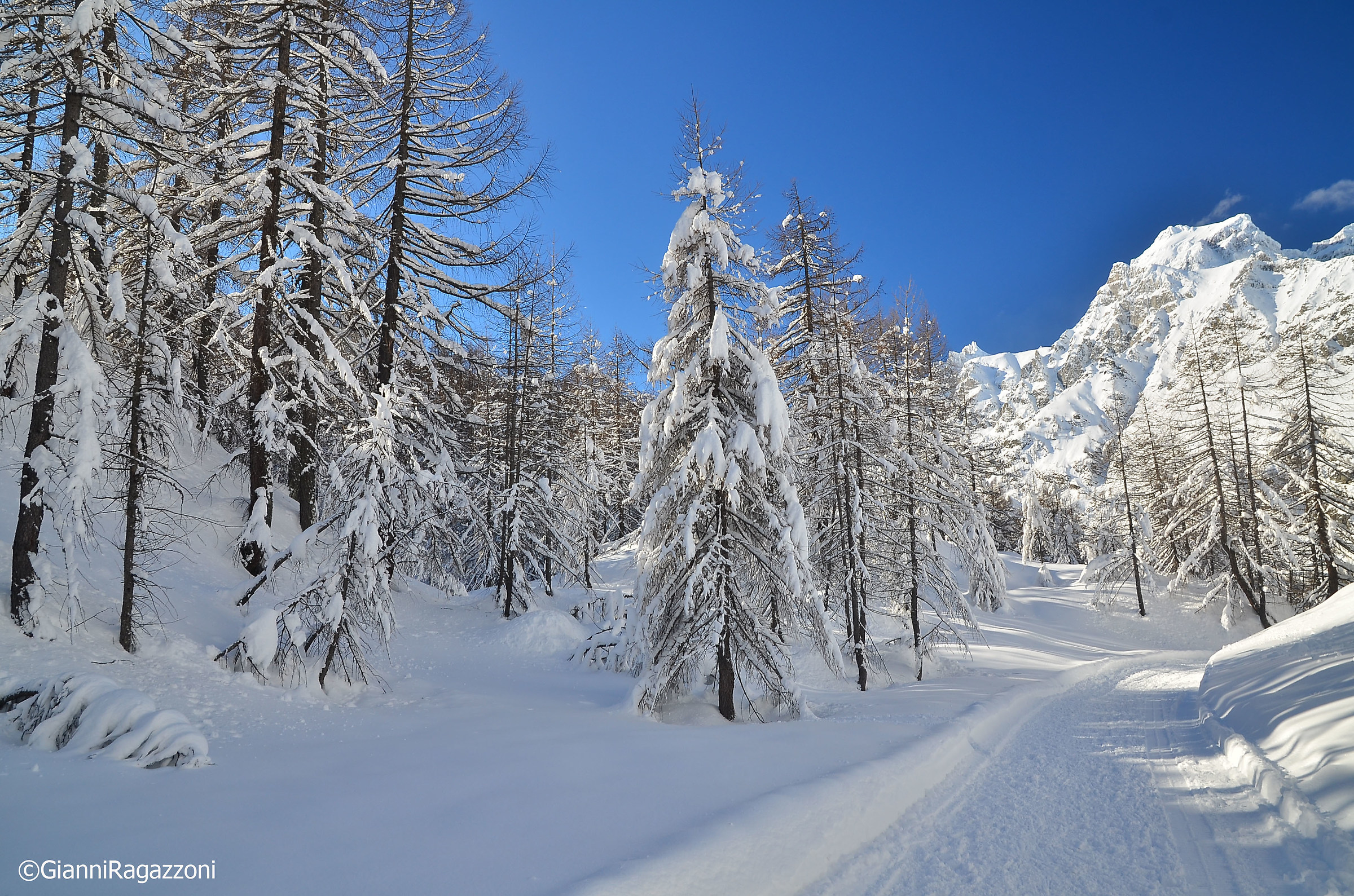 Fairy tale landscape at the Alpe Devero