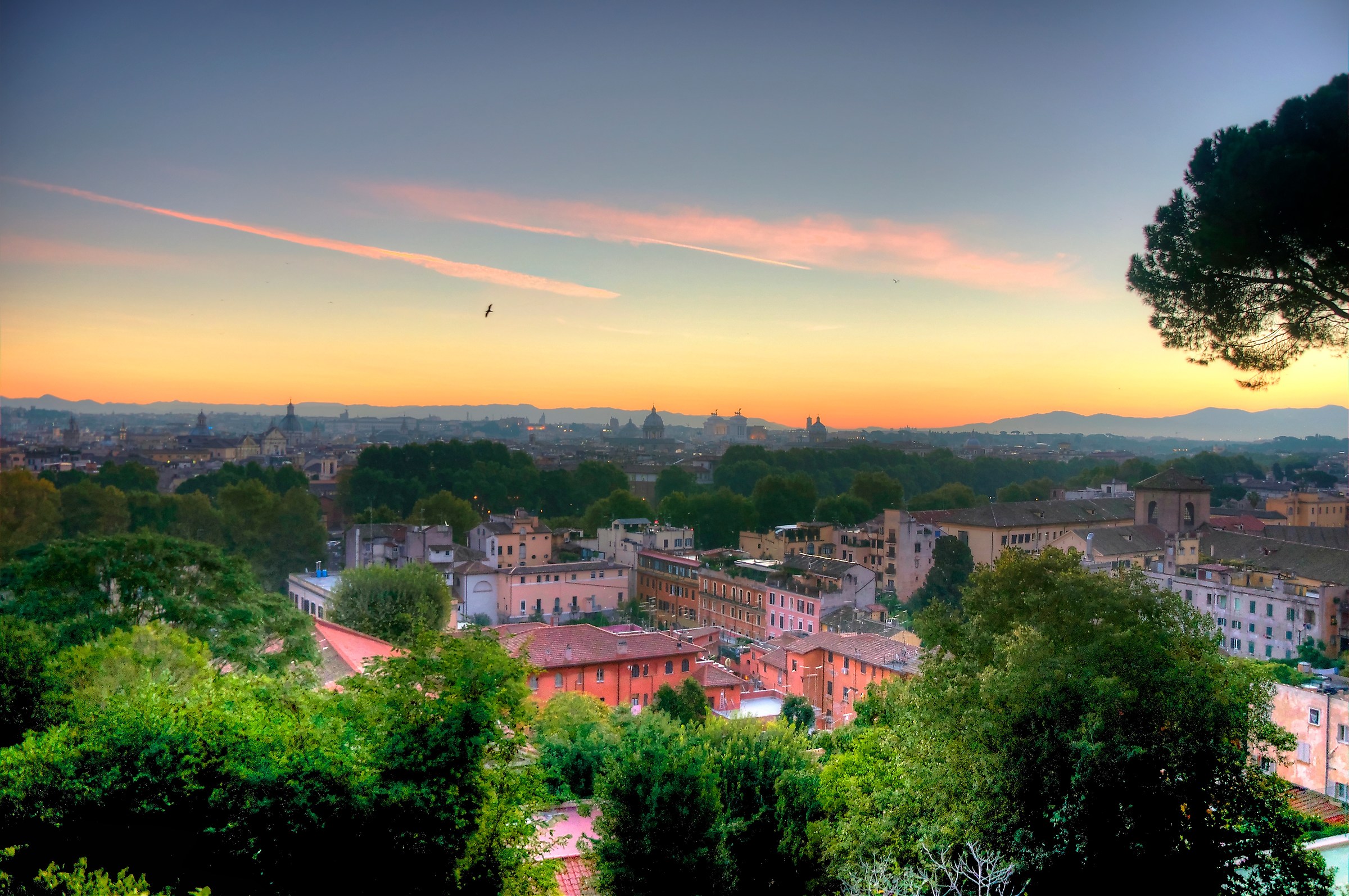 Roma
