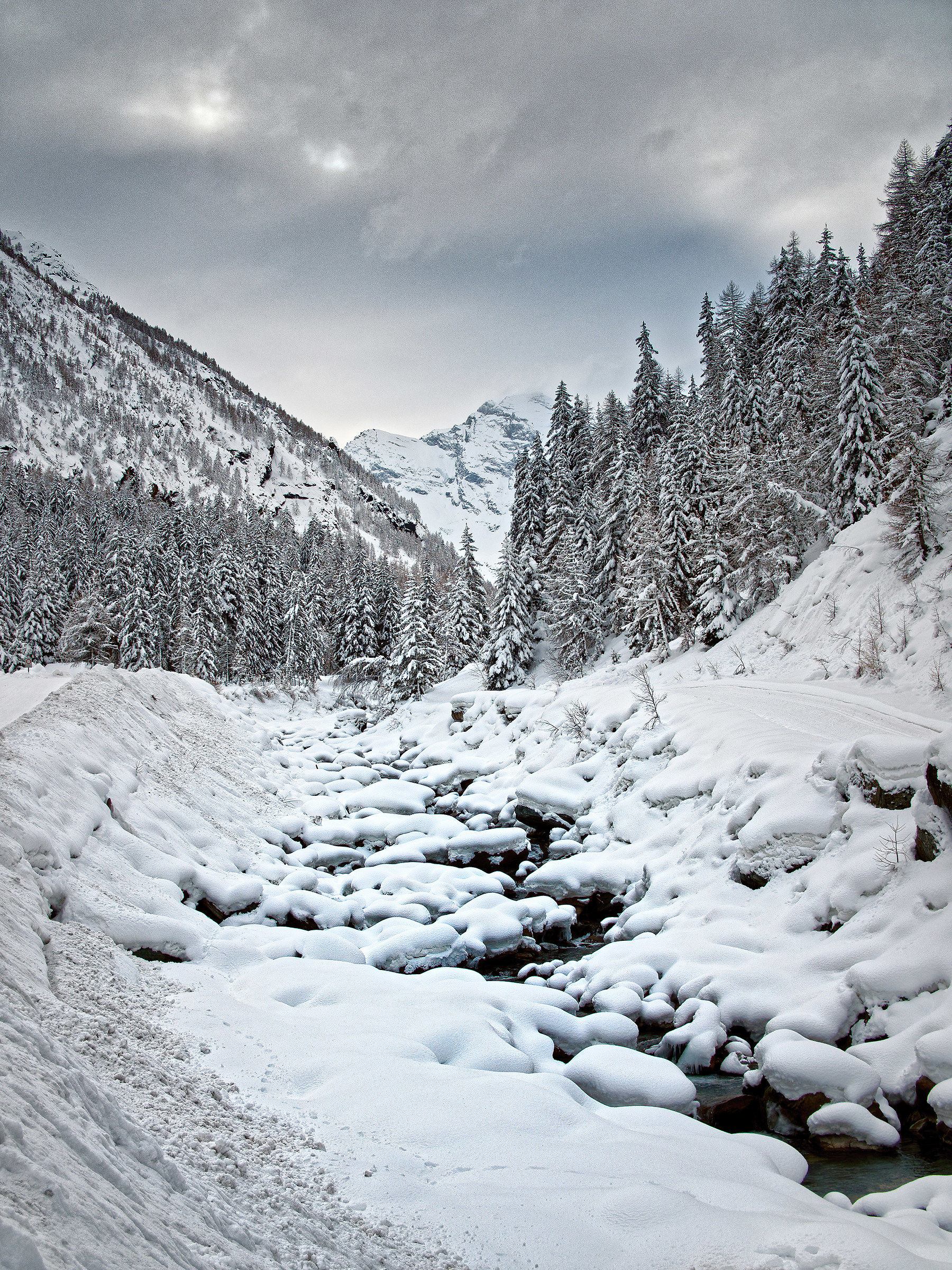 Gran Paradiso - Cogne - (Ao)