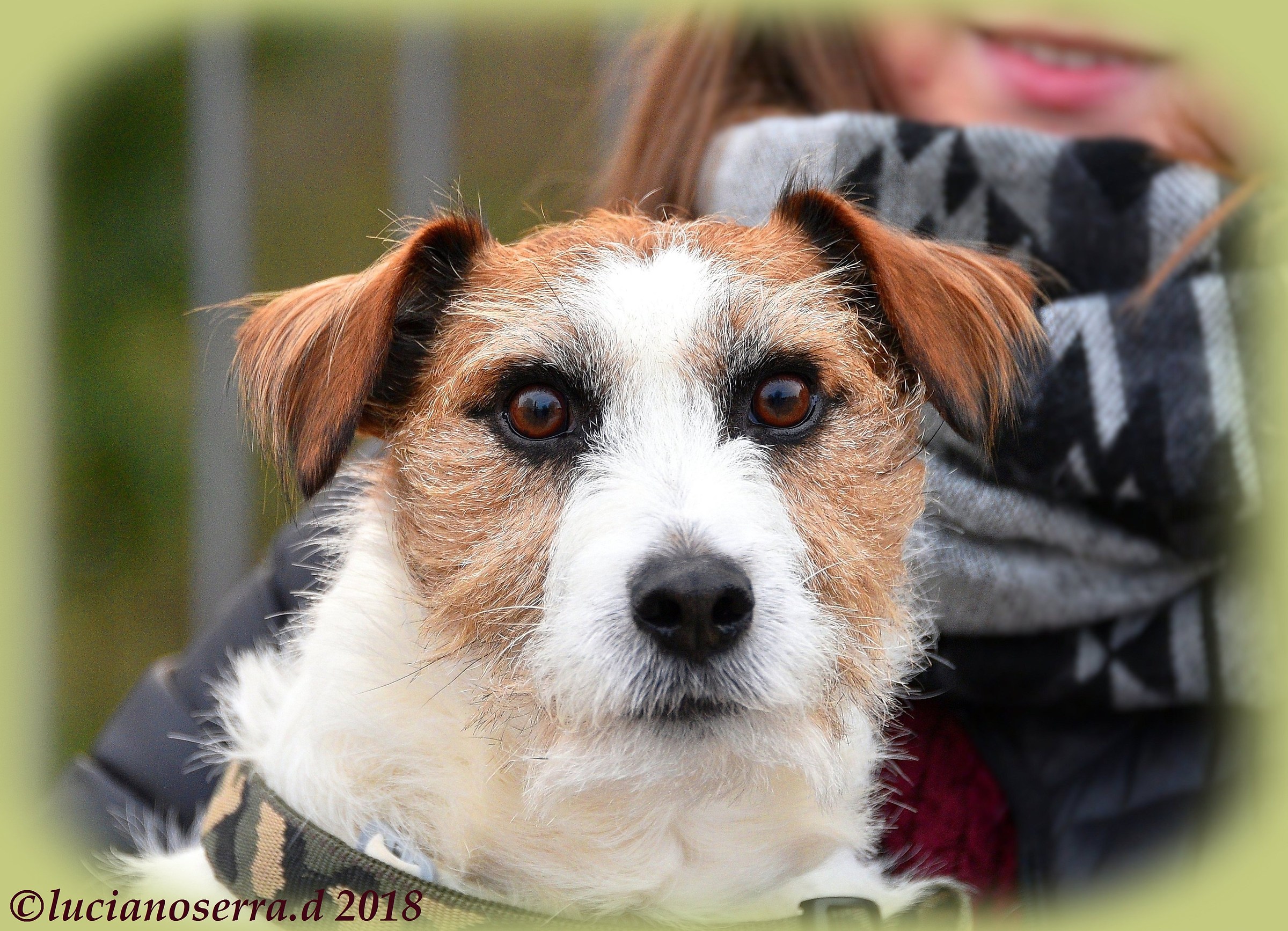 Hai finito di fotografarmi?