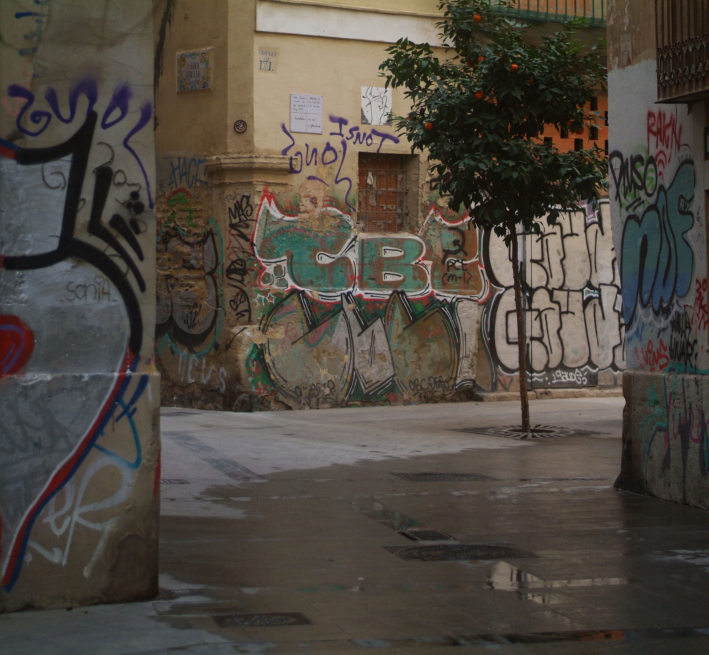 Street art tra i vicoli