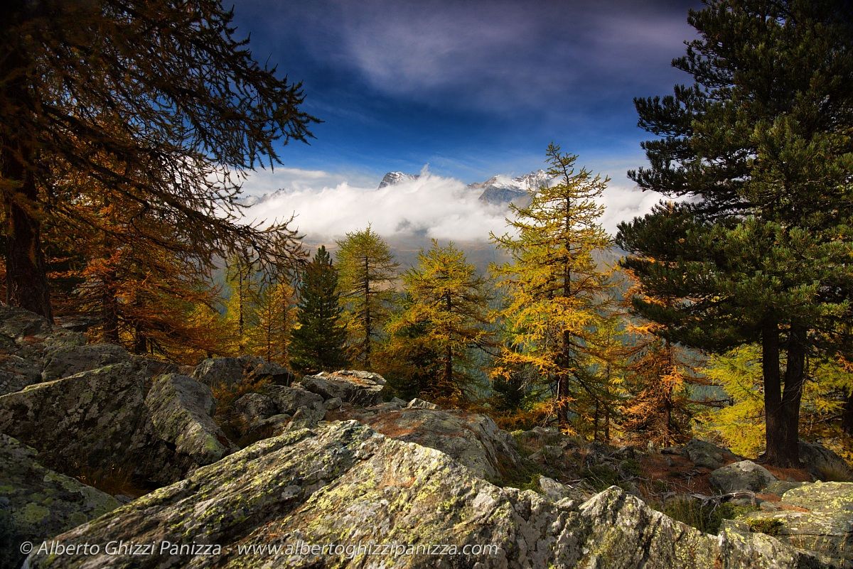 Foliage al Granparadiso