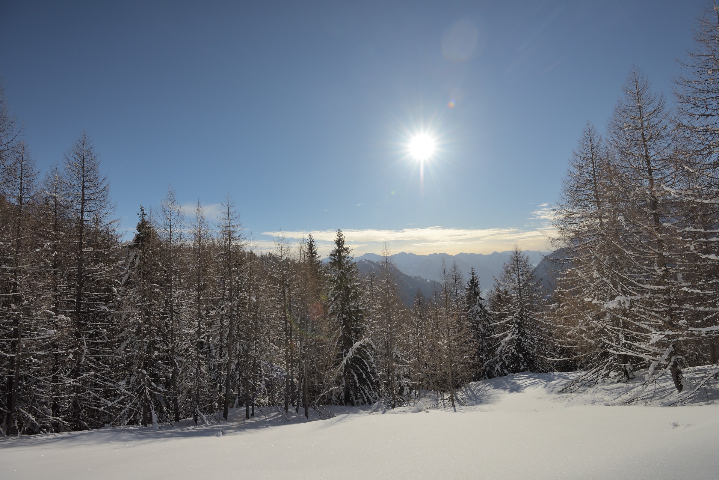 still a few meters and we are at the shelter