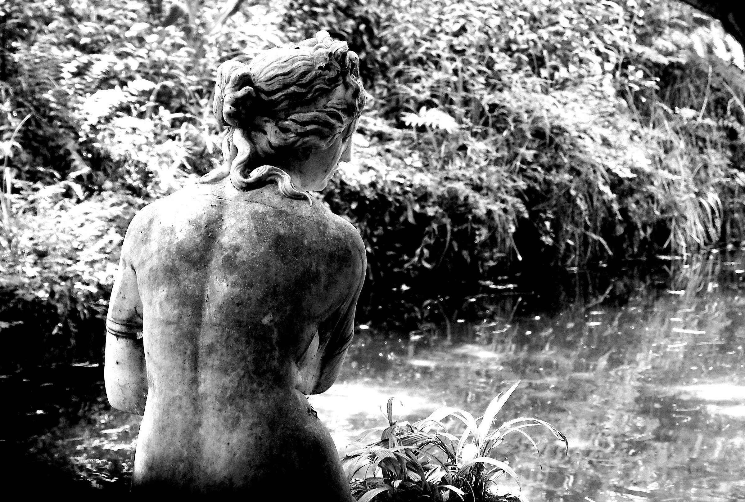 ... e profondissima quiete.