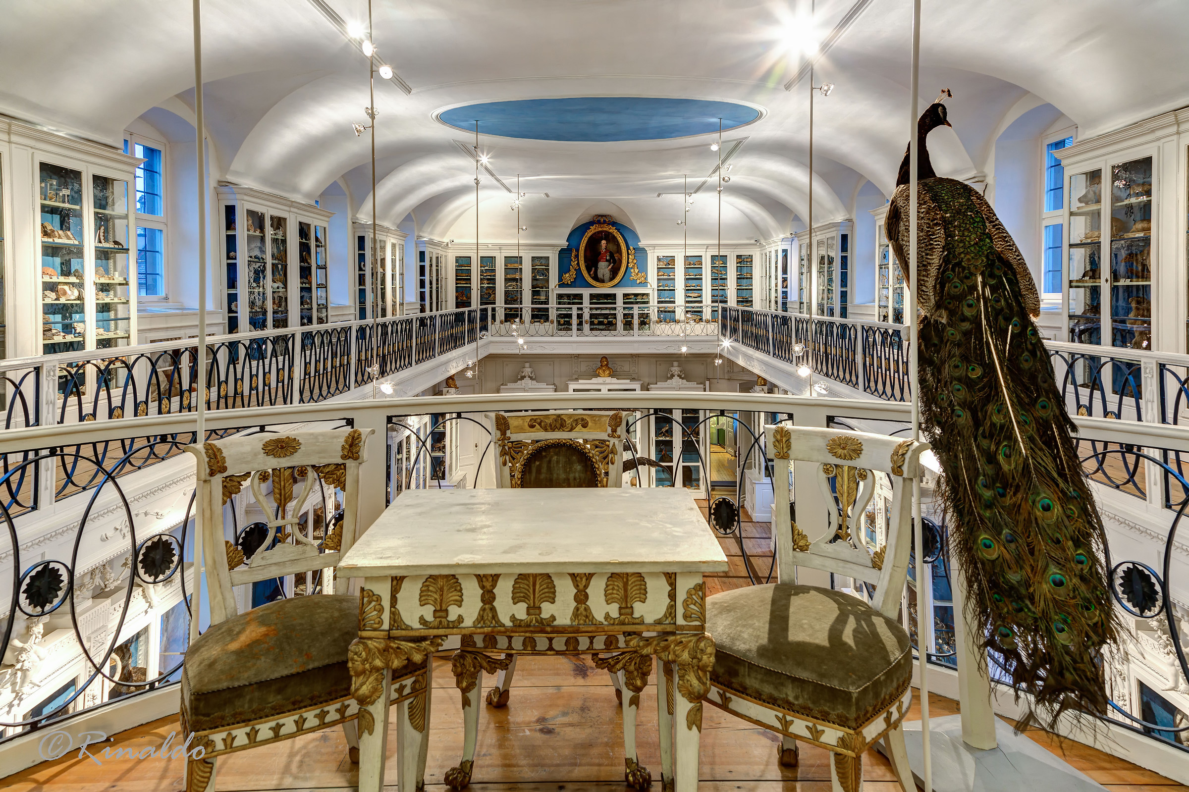 The bird room, the museum in the museum