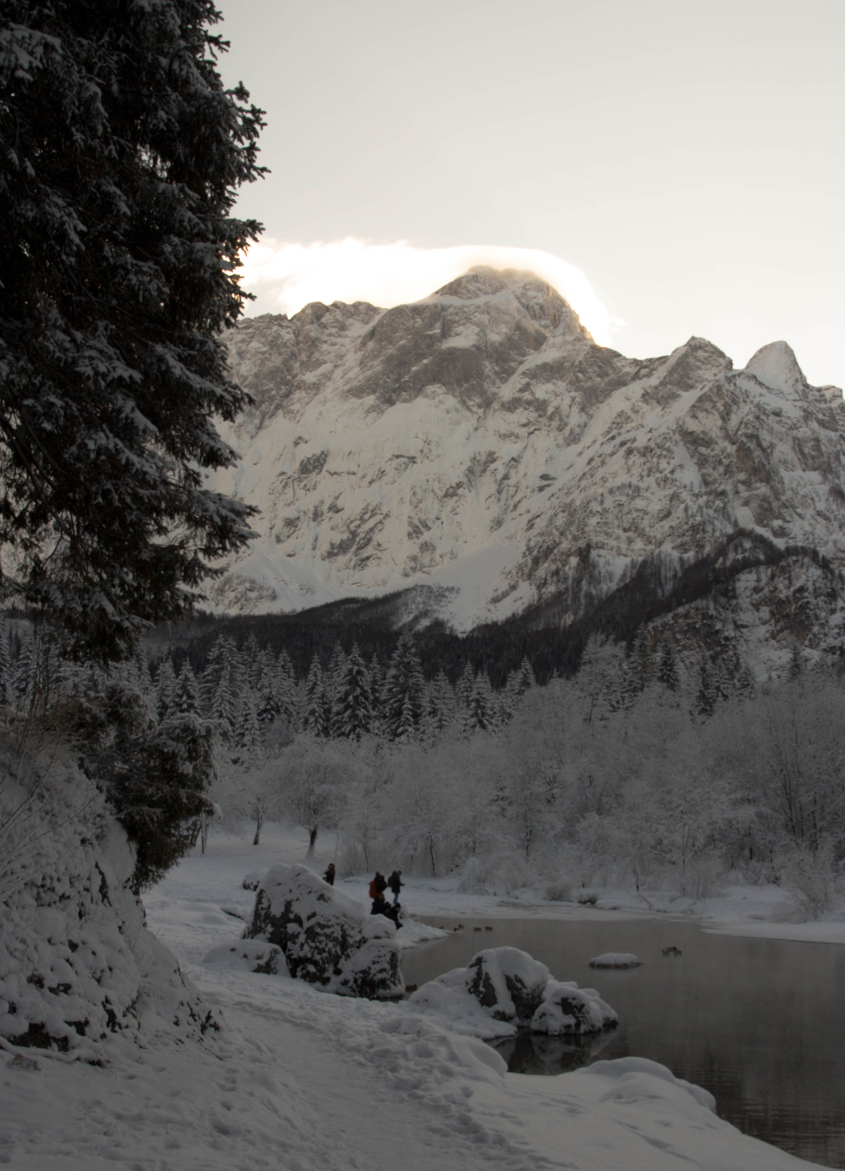cosa non si sopporta per fotografare una papera