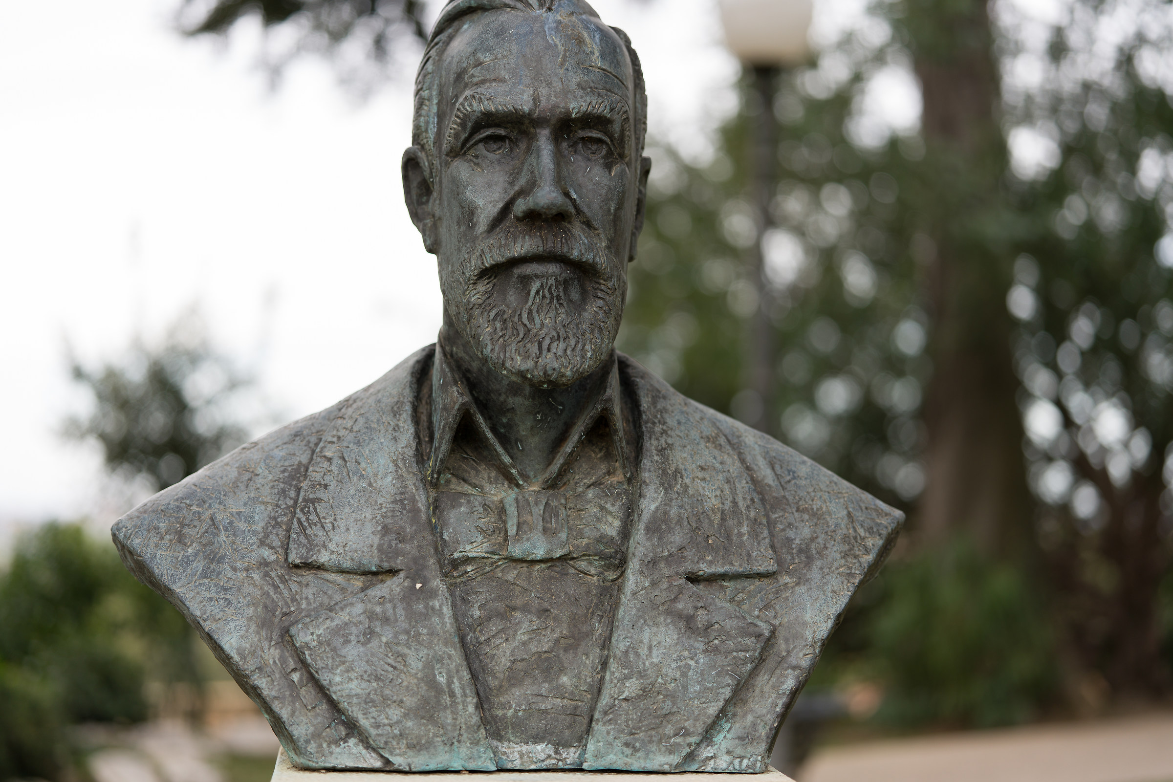 Voigtlander 65mm bokeh#3