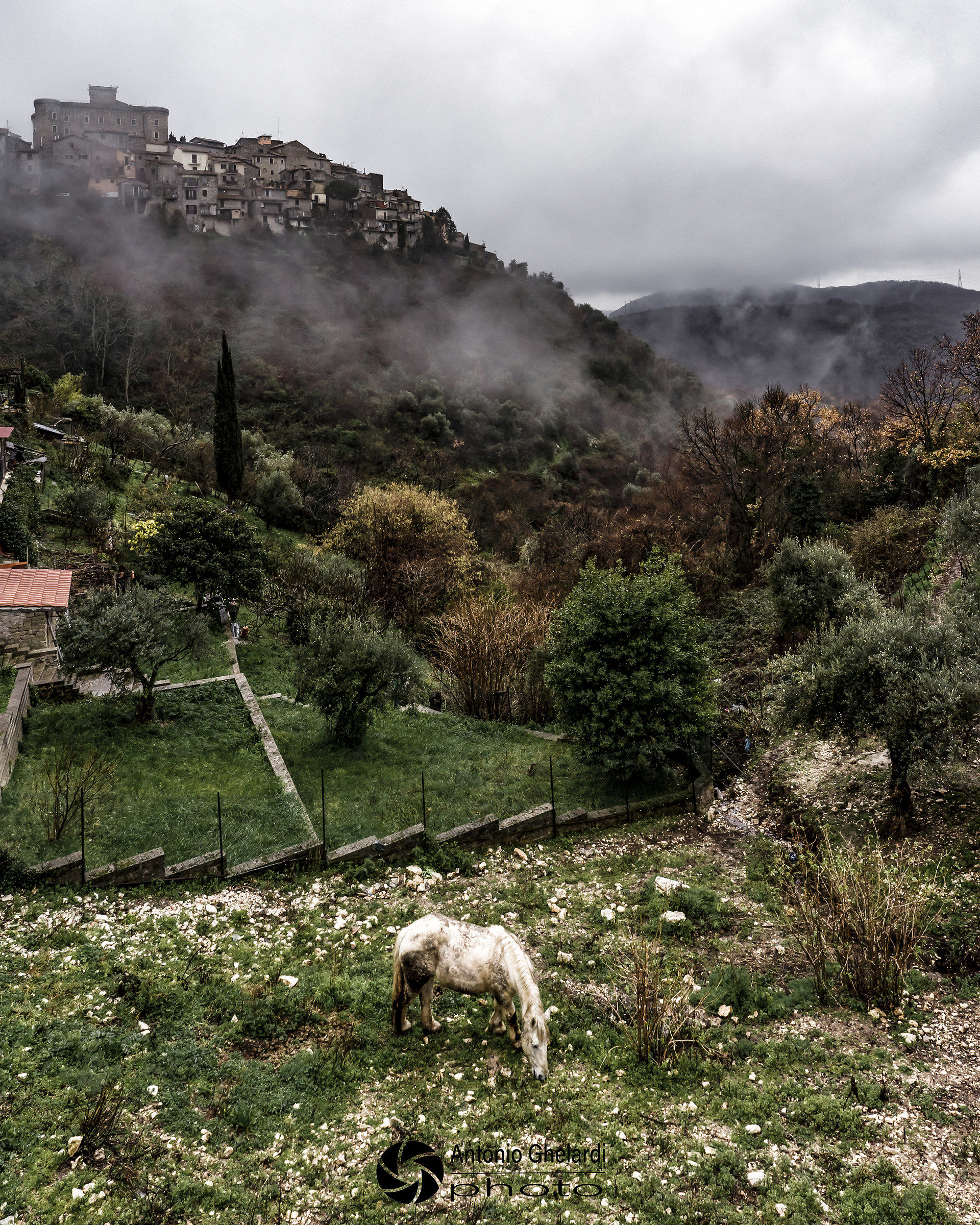 avvolti dalla nebbia