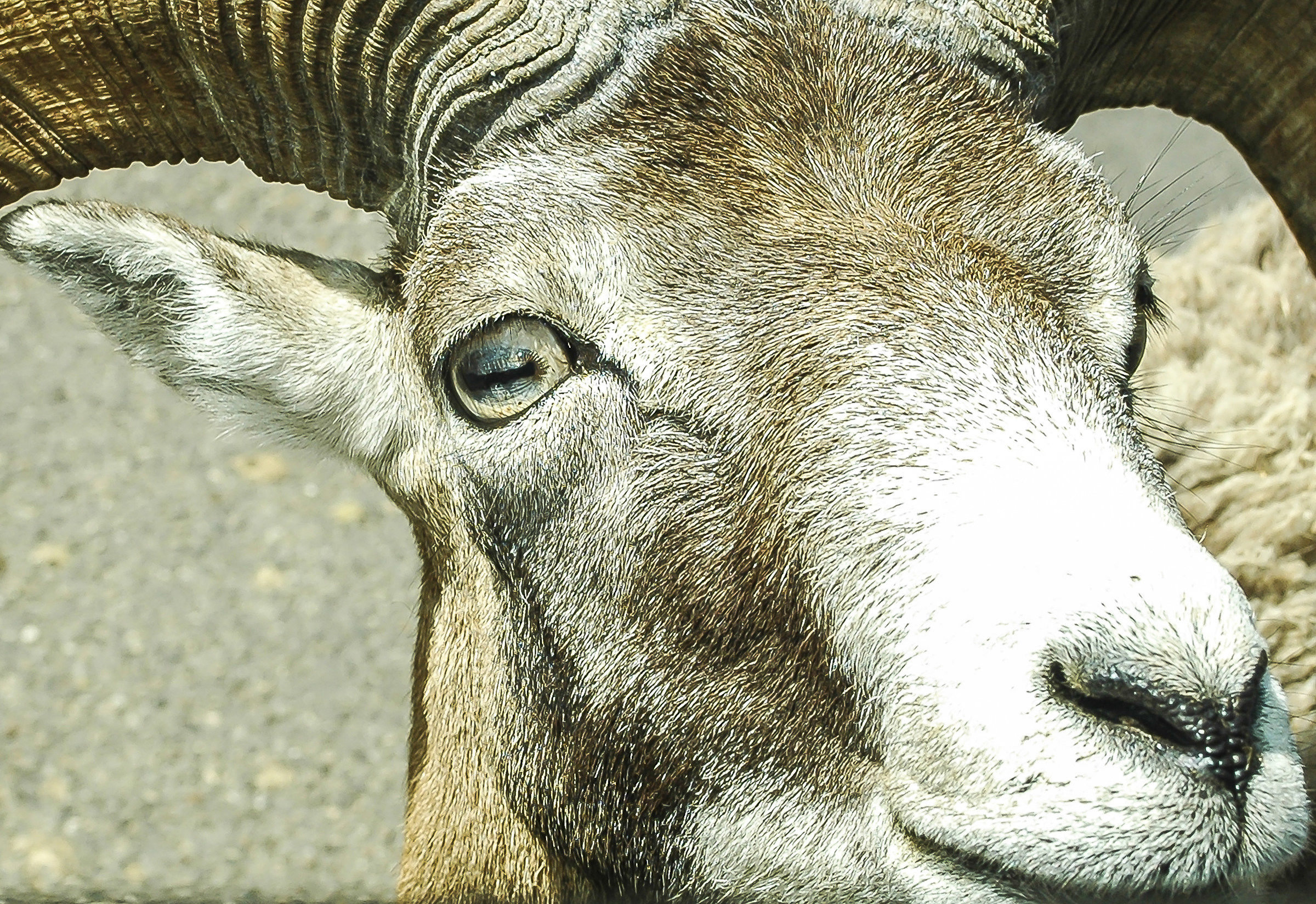 Ti tengo d'occhio !!