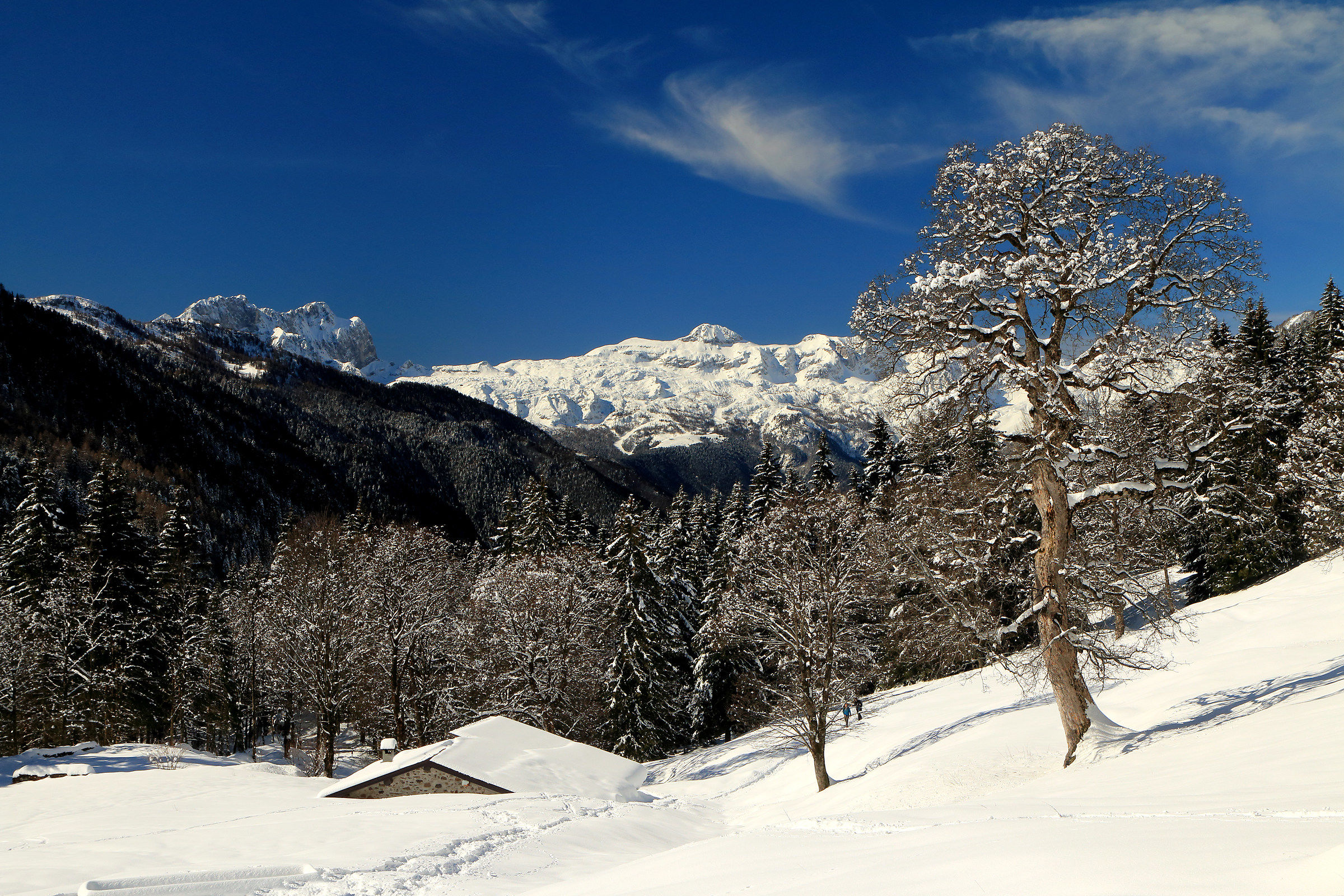 nella conca dei Campelli