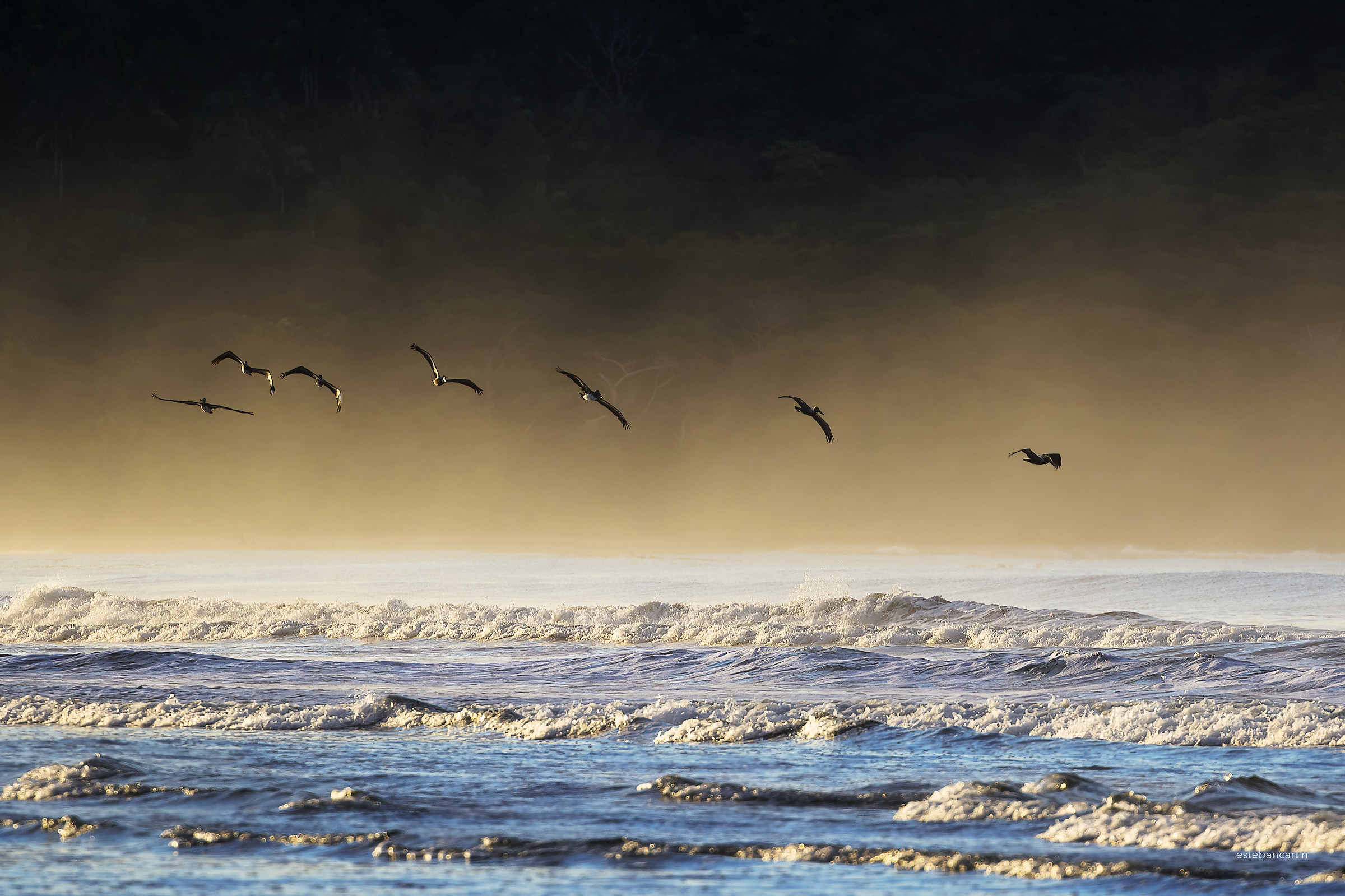 the dance begins at dawn