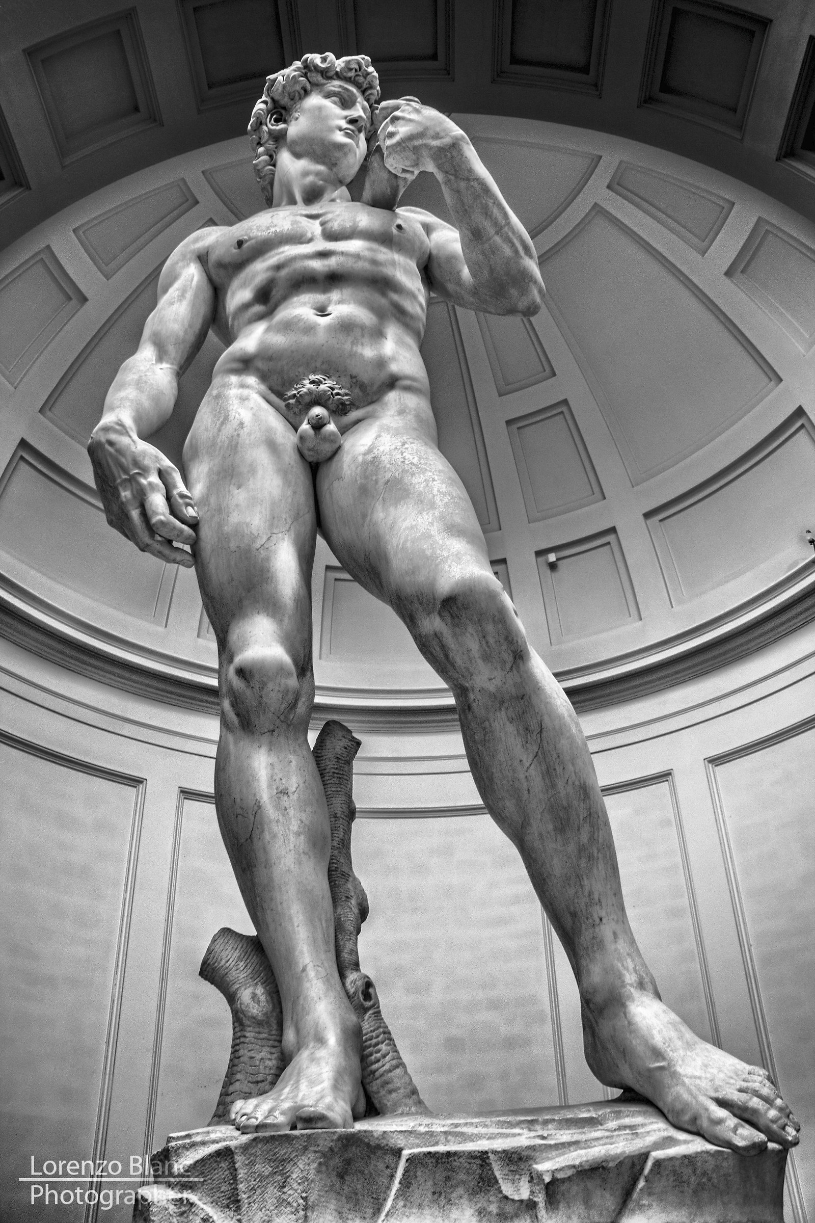 David di Michelangelo (Firenze)