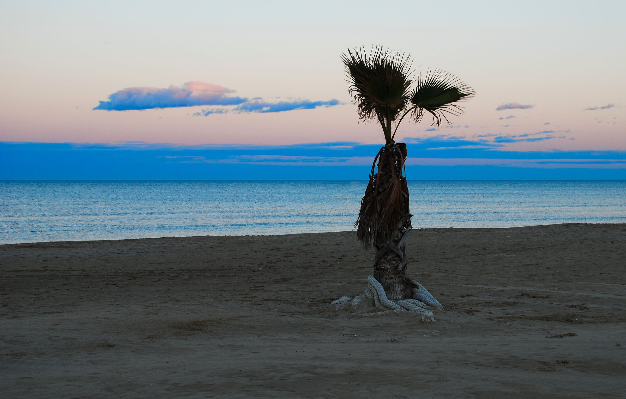 L'Attesa di Madama Butterfly
