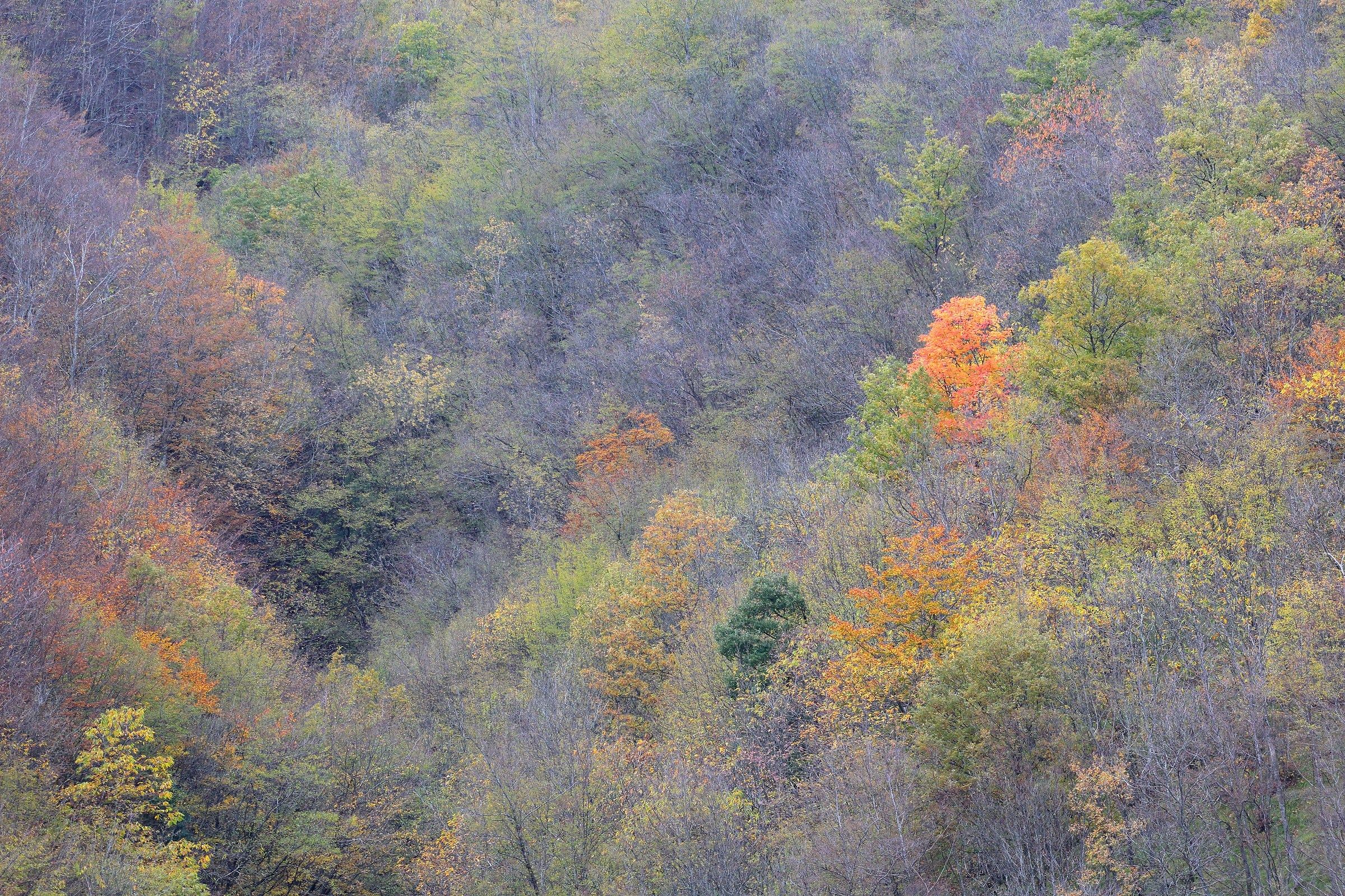 autunno in appennino