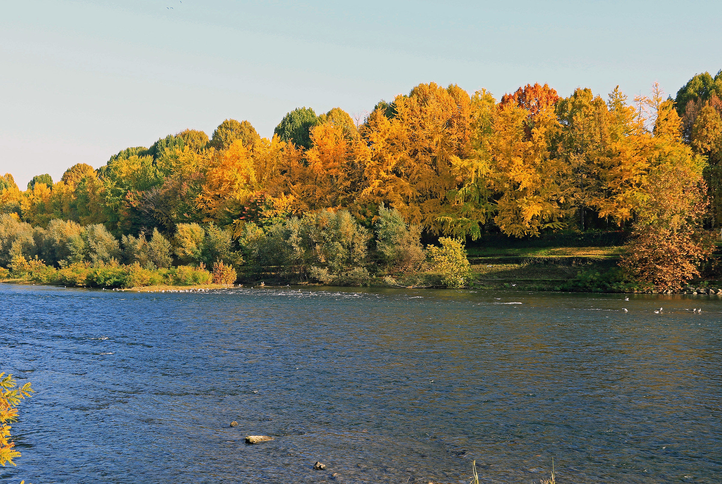 Torino-4: Il Po in autunno-3